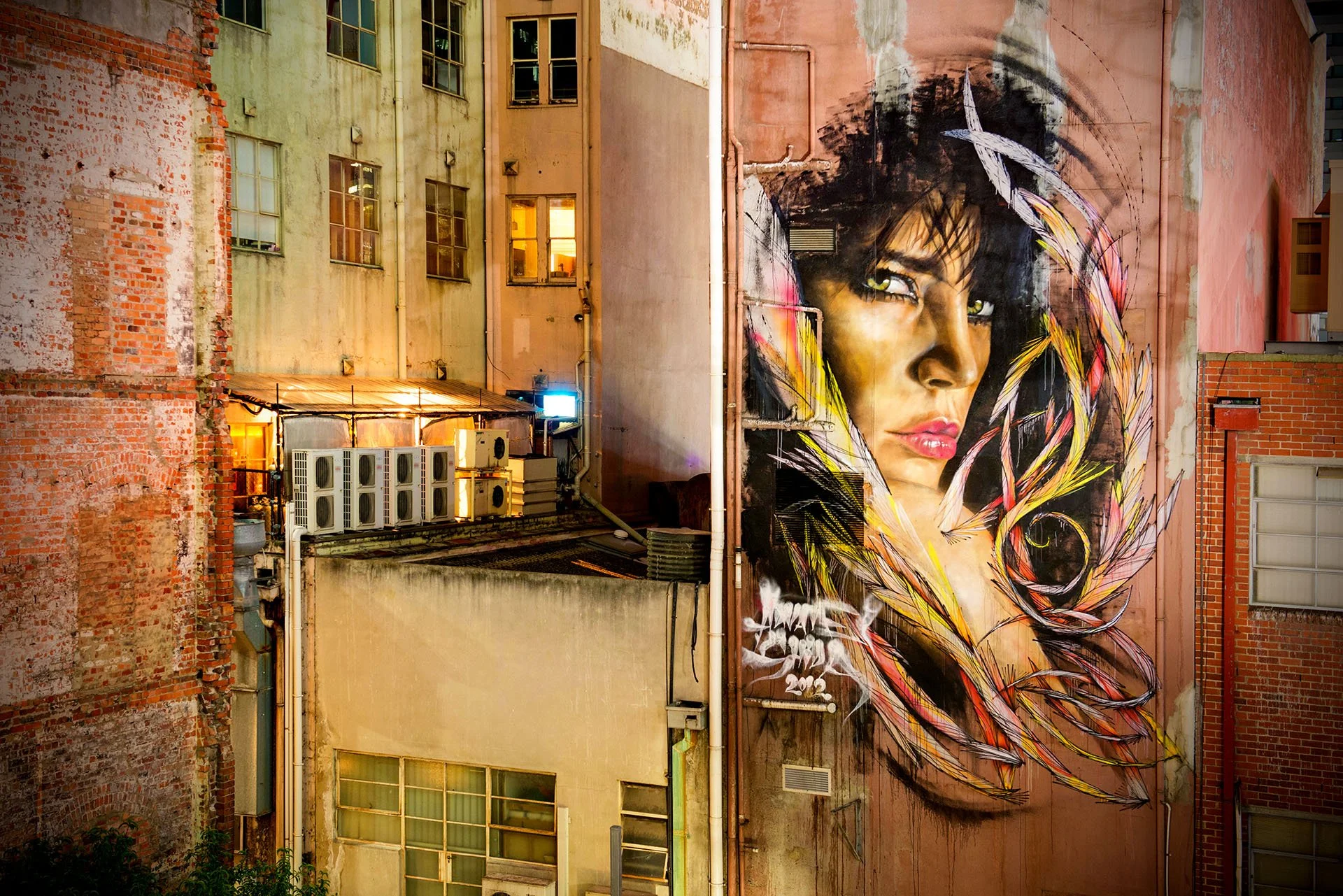 Street art portrait of a woman with green eyes framed by colourful feathers, painted by Adnate in 2012 above Tattersalls Lane, Melbourne, among weathered brick walls at night.