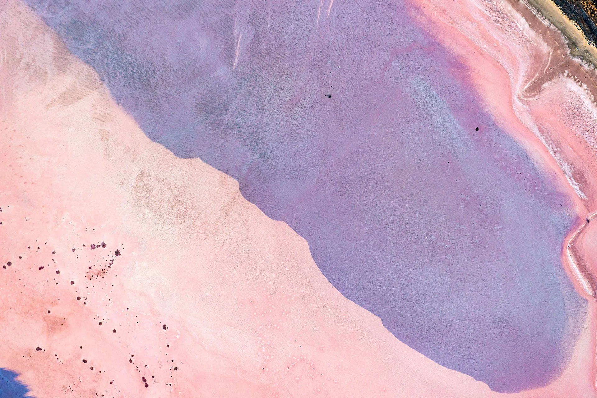 Aerial abstract image of a pink lake