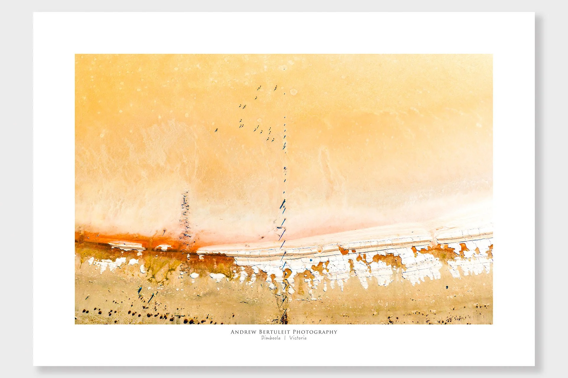 Dimboola salt lake birds print with white border, ready for a standard frame.