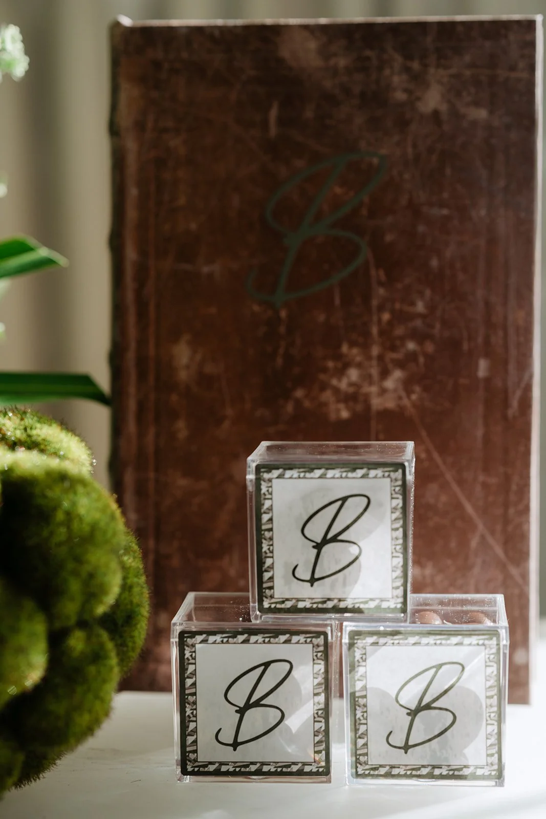 Three transparent boxes with black letter B in cursive, stacked on a white surface. A large brown book with a green letter B on the cover is in the background. Green moss and part of a plant are visible on the left side.