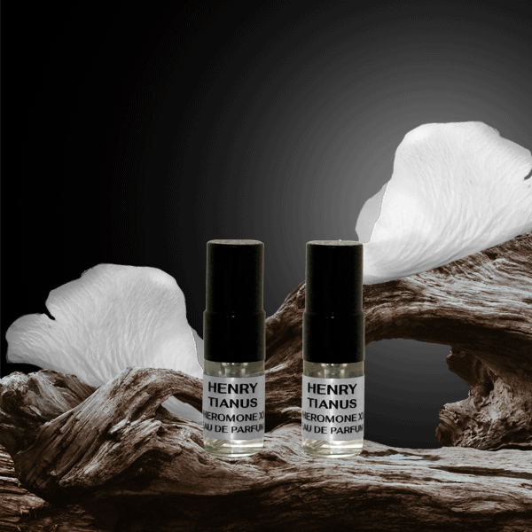 Sample Set