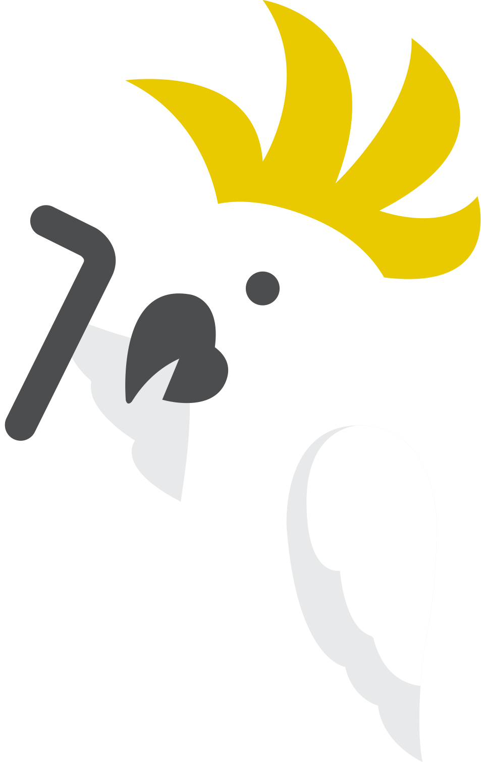 Meet Lockheed – The Candoo cockatoo! Expert flatpack assembler and super friendly, fair and honest Handyman (Handybird).