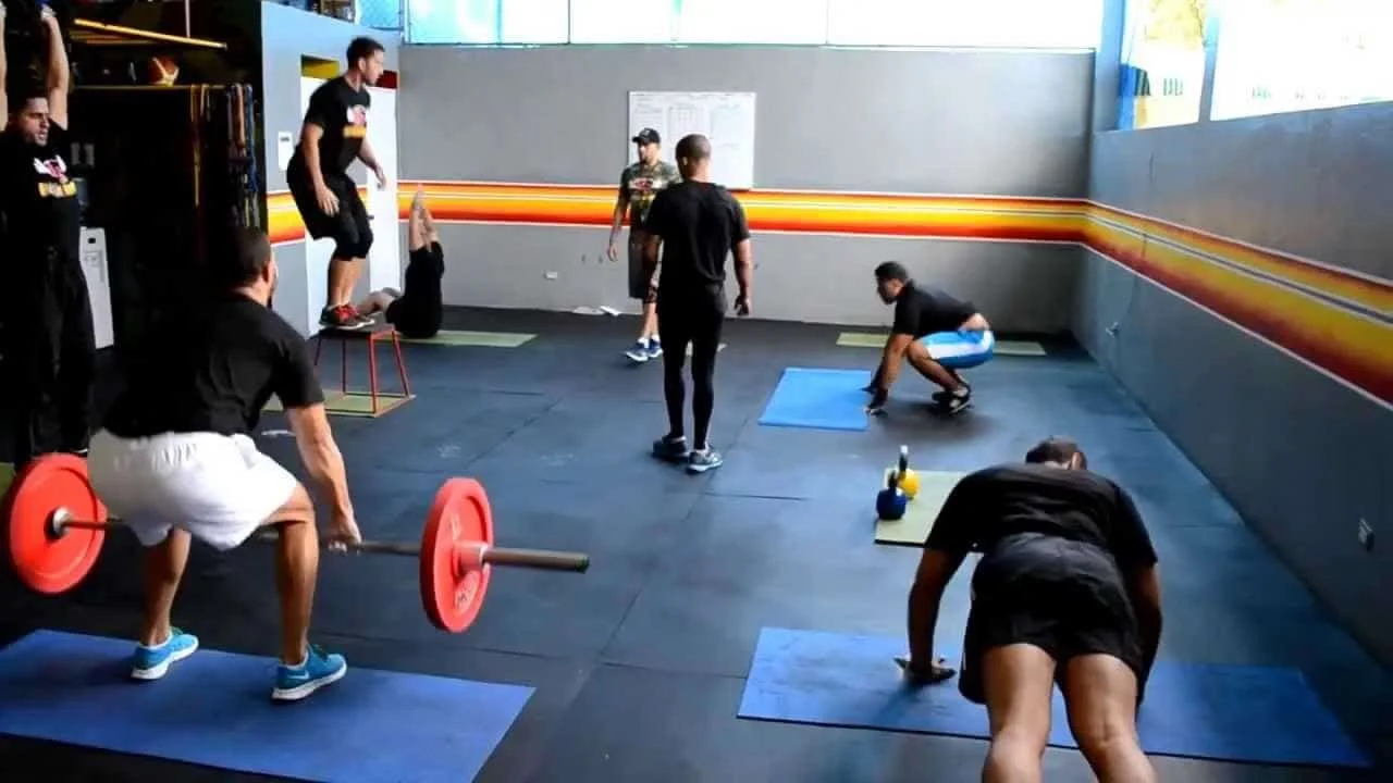 Entrenamiento-en-circuito.jpg