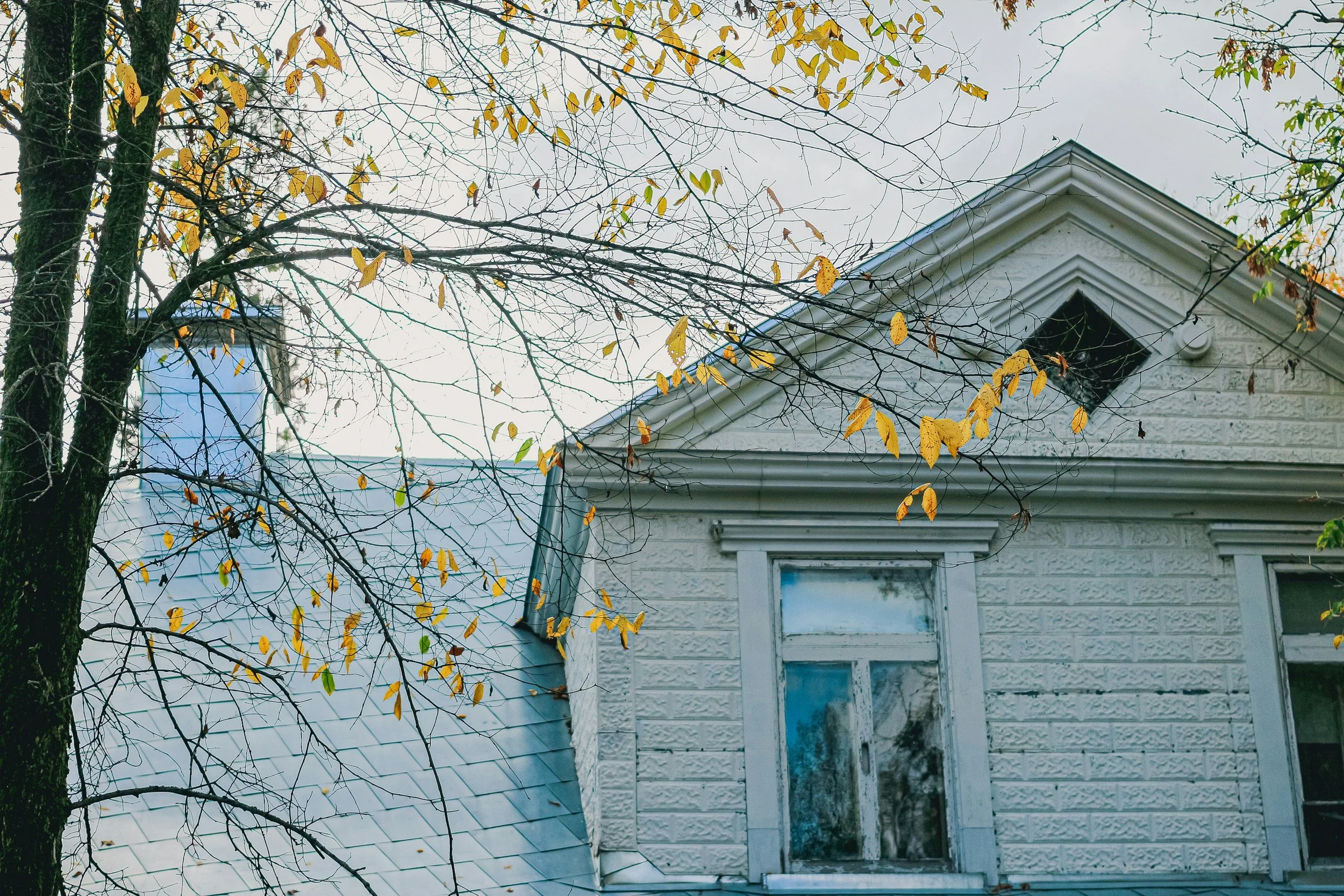 A portion of a house with a gabled roof and a window, with a large tree in the foreground with yellowing leaves and a mostly overcast sky in the background.