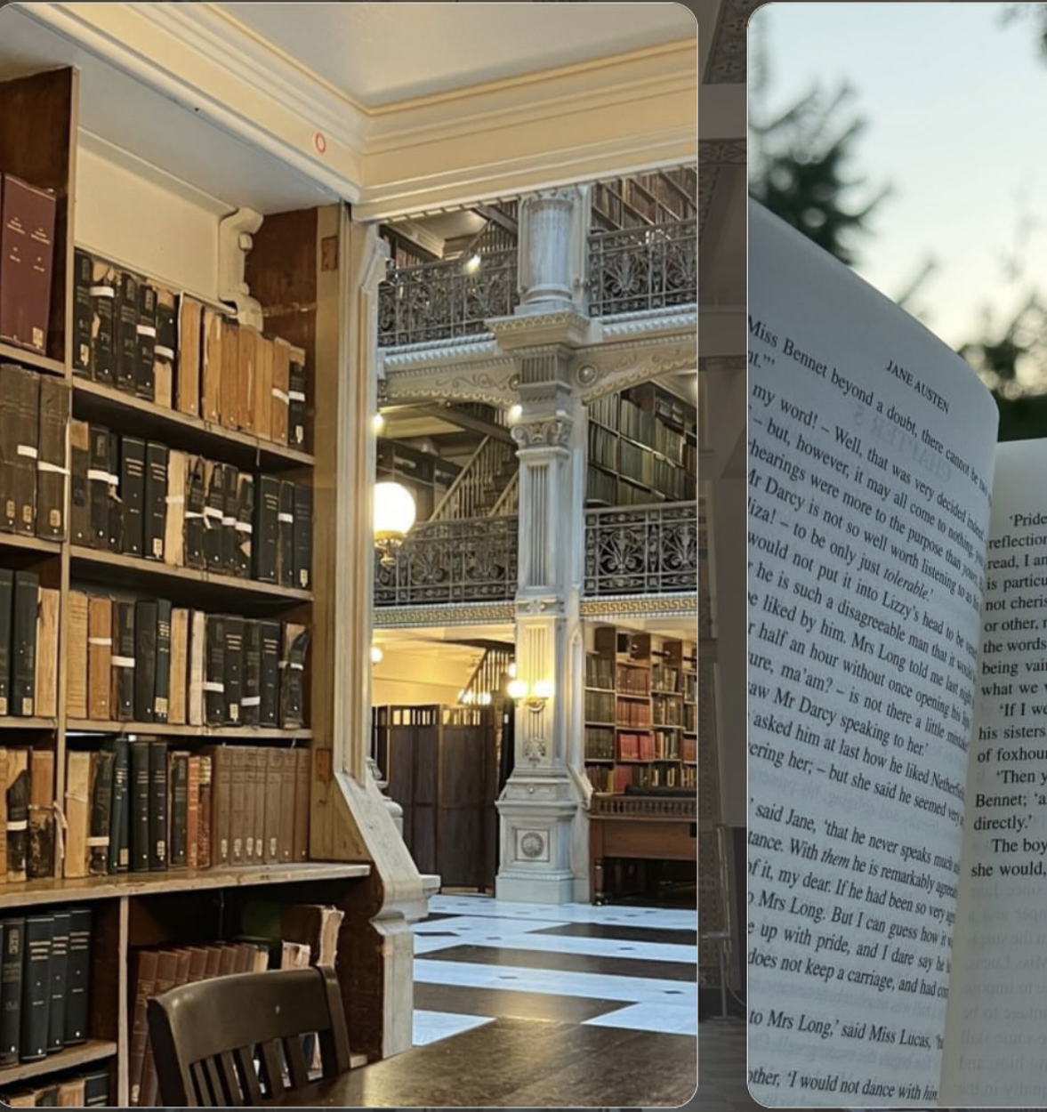 A city library is a hug.