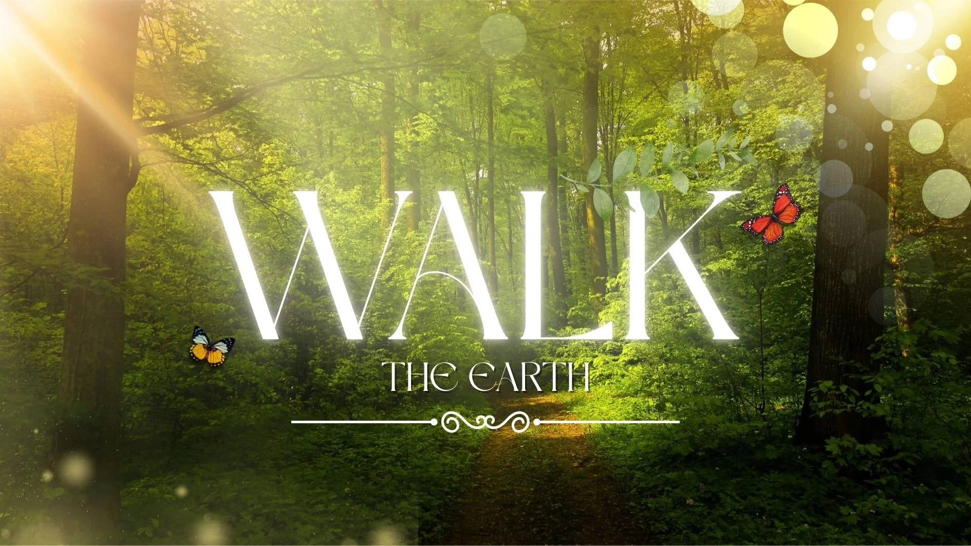 Walk the Earth