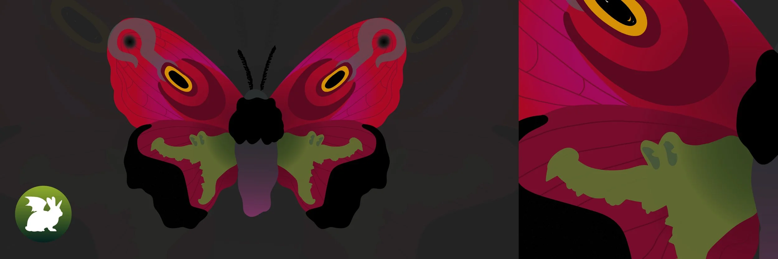 hook_igbanner.jpg