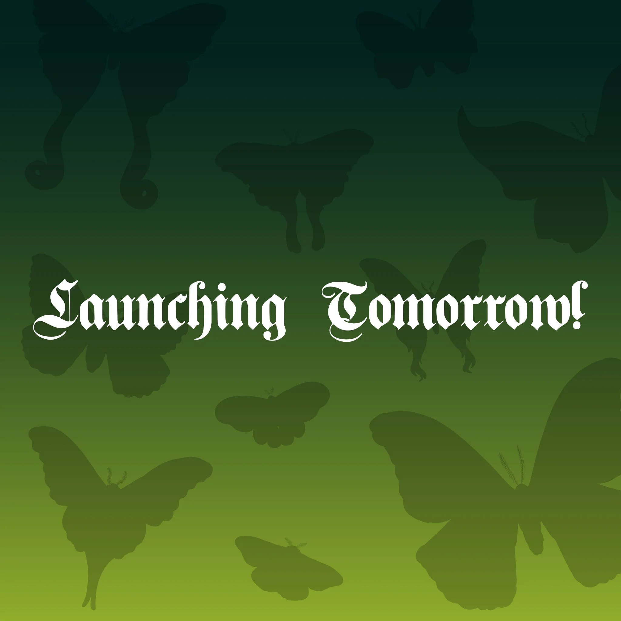 mothlaunch.jpg