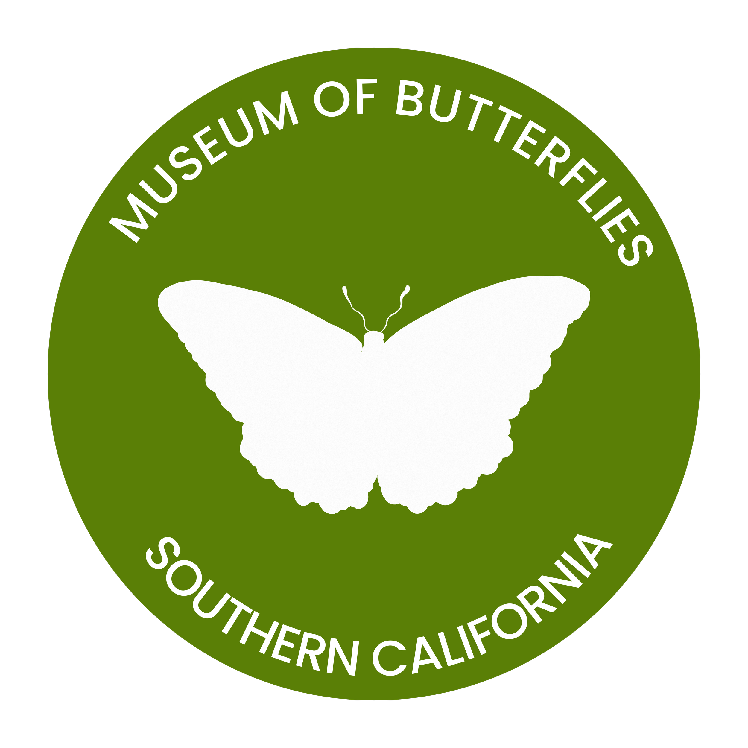 Butterflies of the Enchanted Garden