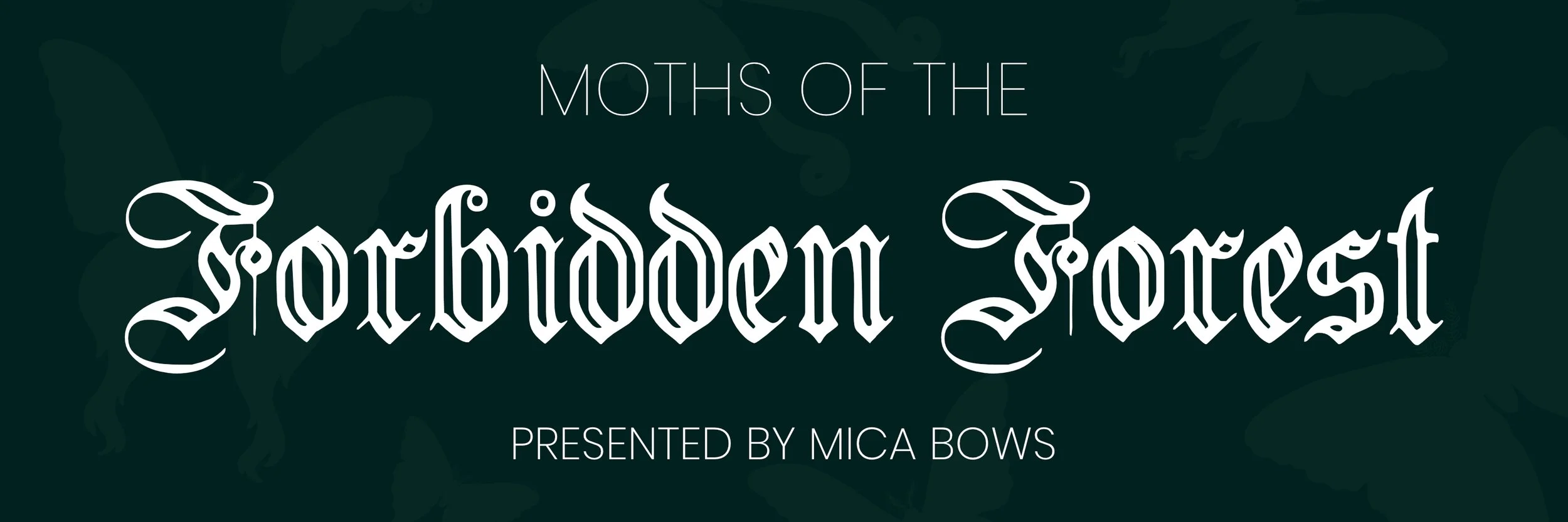 museumbanner_moths.jpg