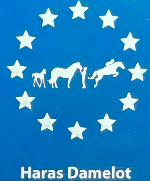 Logo bleu avec 12 étoiles blanches formant un cercle, représentant des figures de chevaux en blanc au centre, avec le nom 'Haras Damelot' en bas.