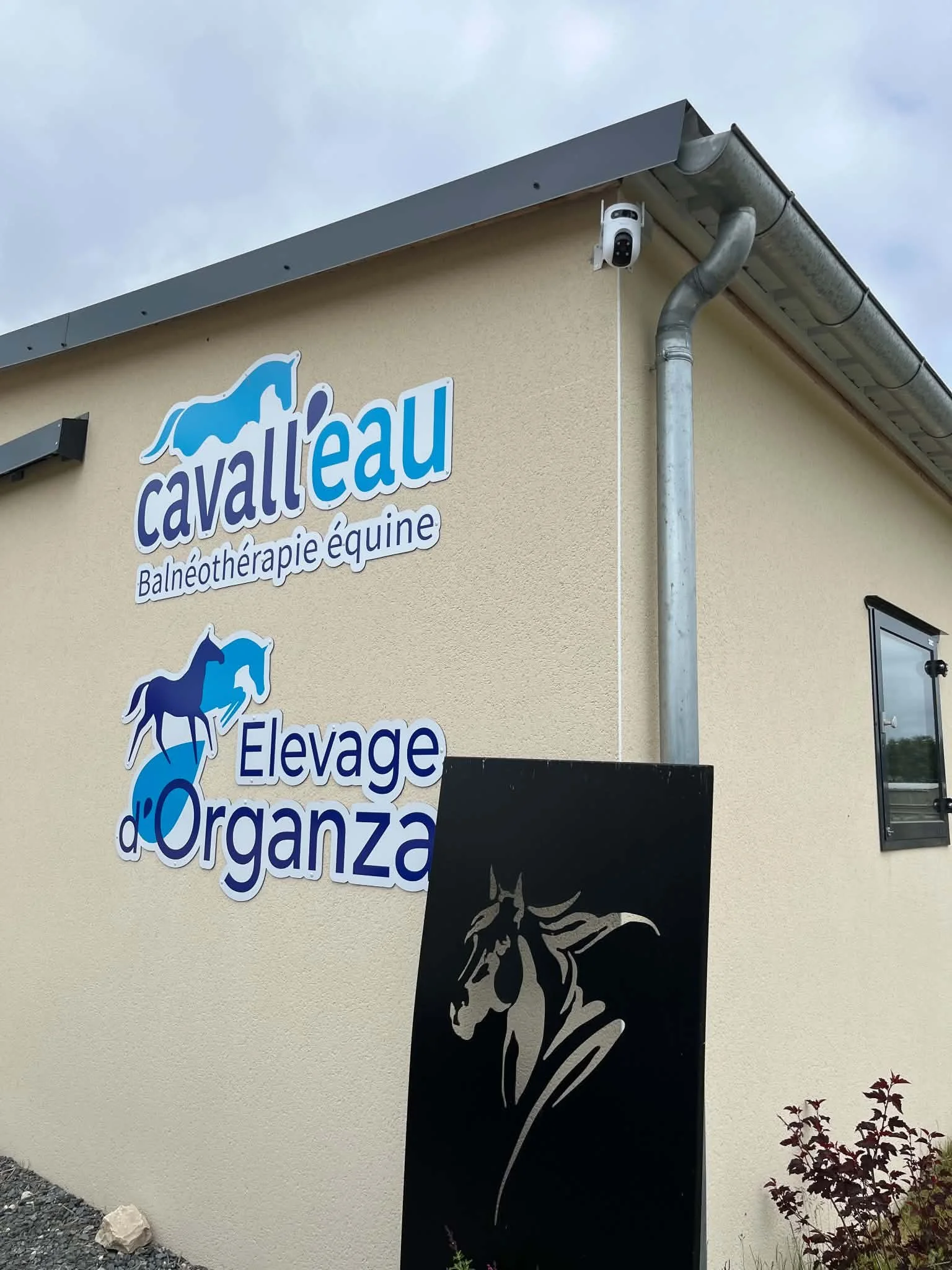 Une enseigne indiquant "cavall'eau" et "Balnéothérapie équine" sur un mur beige, avec un panneau noir représentant un cheval blanc et une caméra pivotante discrète dans le coin du bâtiment.