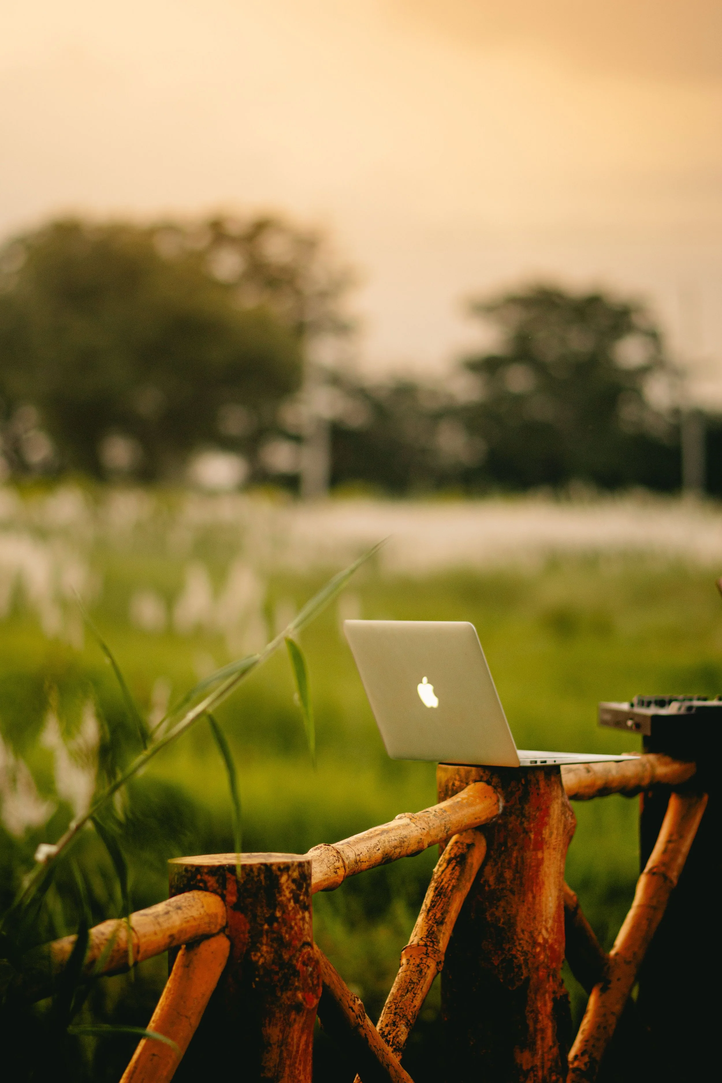 Un ordinateur portable sur une table en bois en plein air dans un environnement naturel avec des arbres en arrière-plan.
