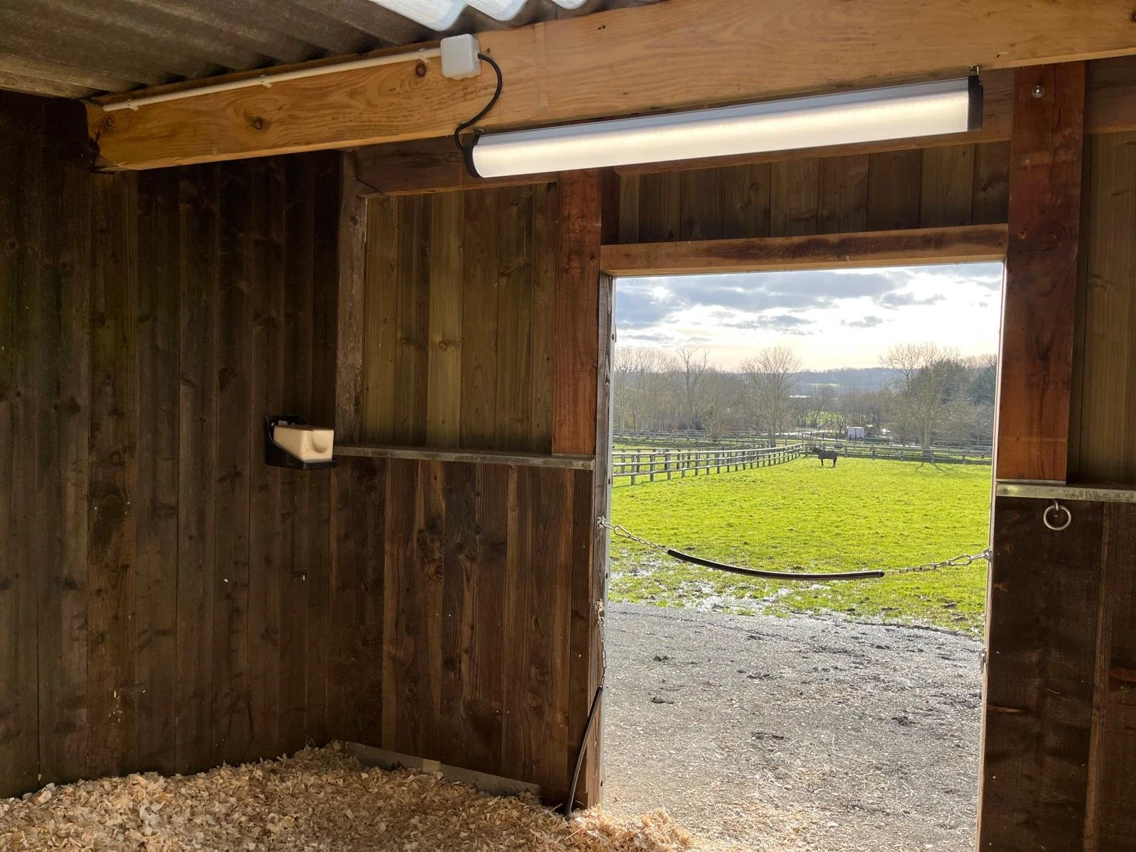 Vue depuis l'intérieur d'un box pour cheval, avec un paysage de prairie et un cheval au loin, avec un éclairage LED allumé.