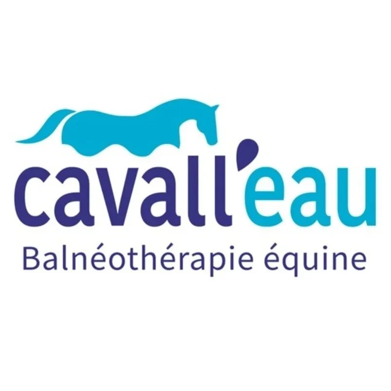 Logo avec un cheval stylisé en bleu et le texte "caval' eau" et "Balnéothérapie équine".