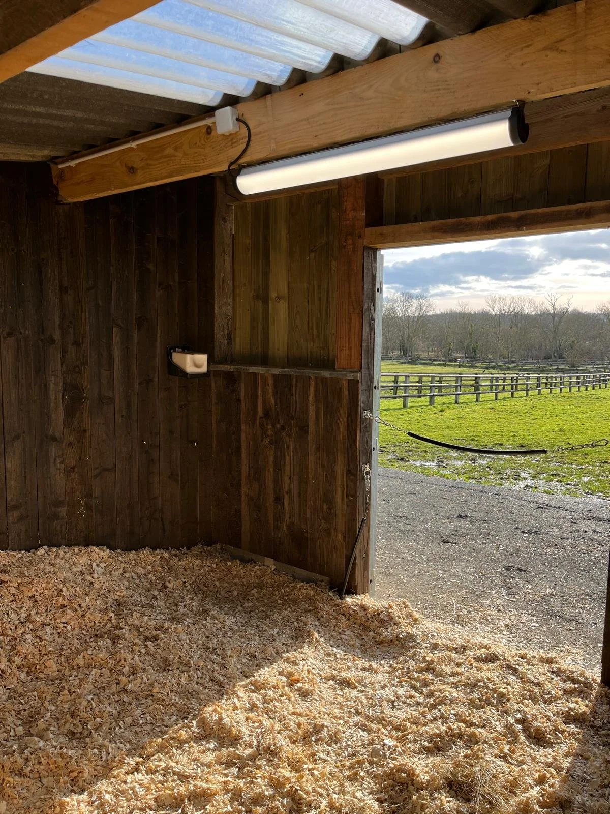 Vue depuis l'intérieur d'un box pour cheval, avec un paysage de prairie et un cheval au loin, avec un éclairage LED allumé.