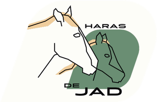 Carte illustrant les Haras de JAD, avec deux chevaux, un en blanc et l'autre en vert, et du texte