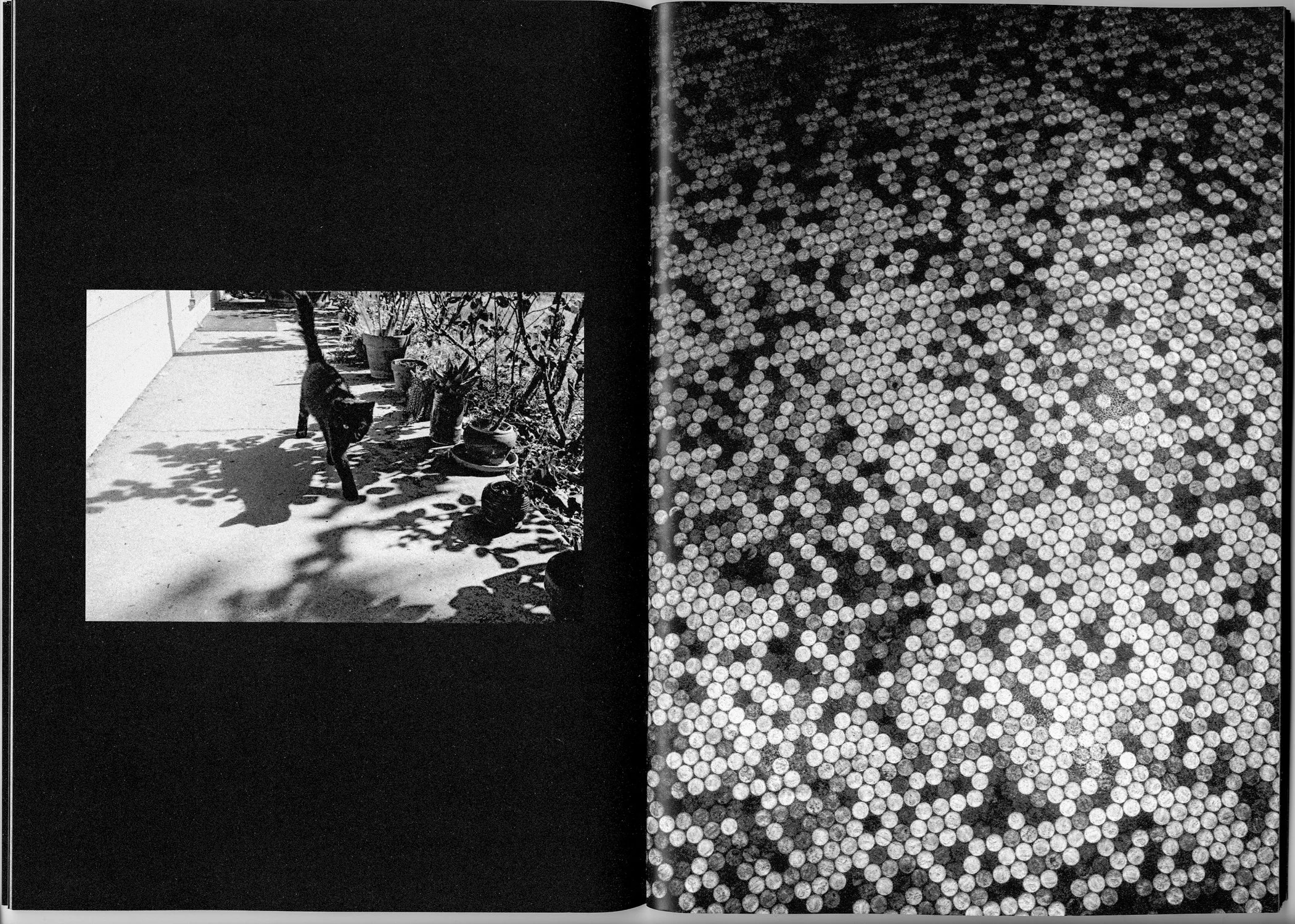 shadowlight_2nd_03.jpg