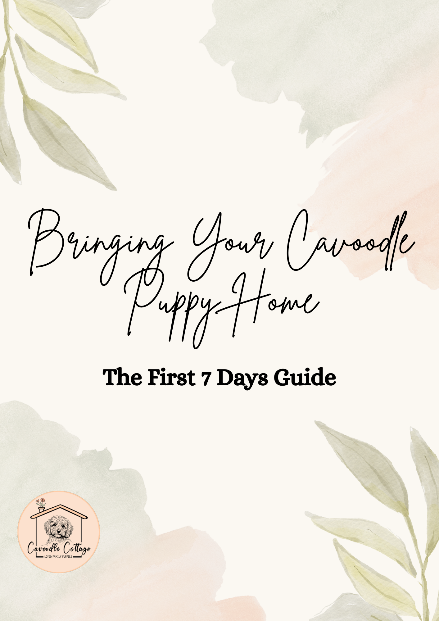 The First 7 Days Guide