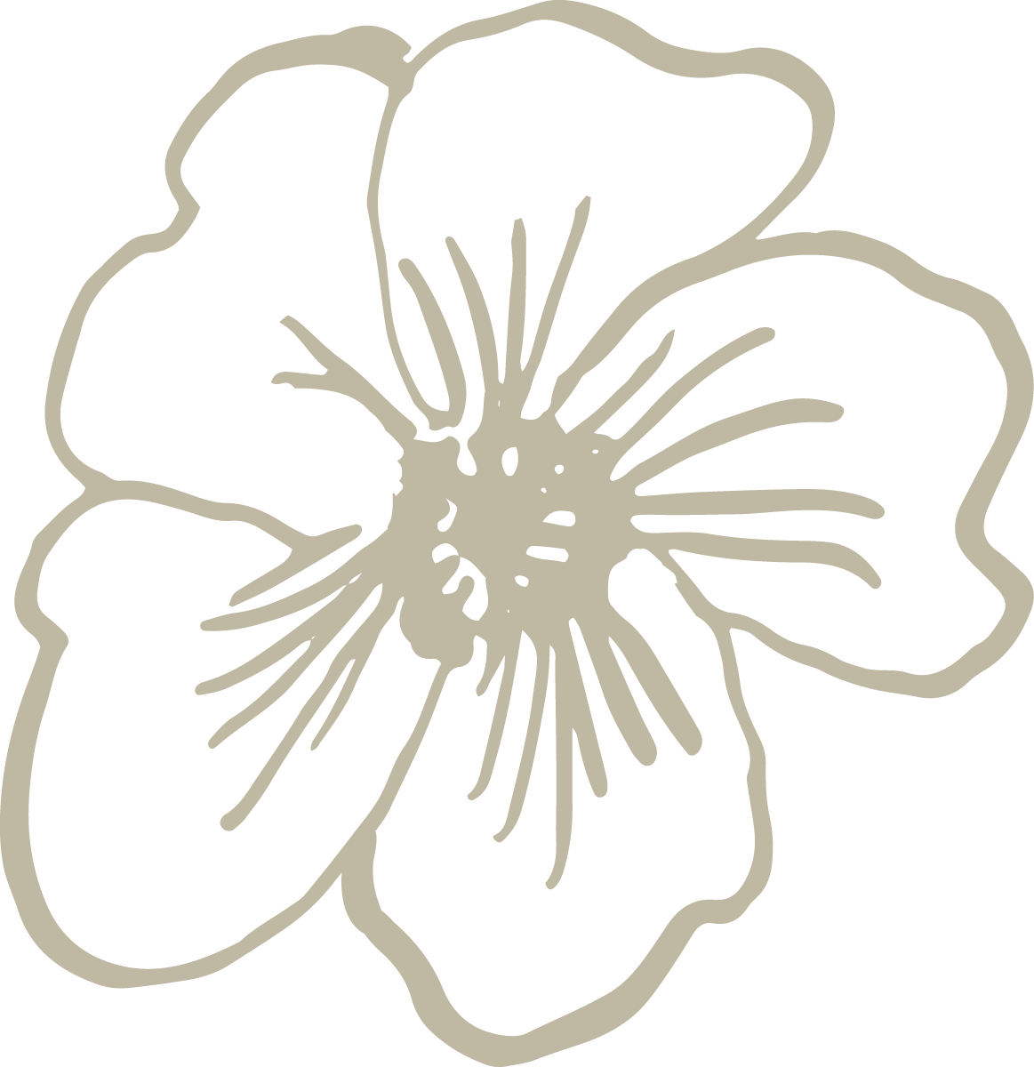 Disegno di un fiore stilizzato con petali ampi e al centro dettagli linari.