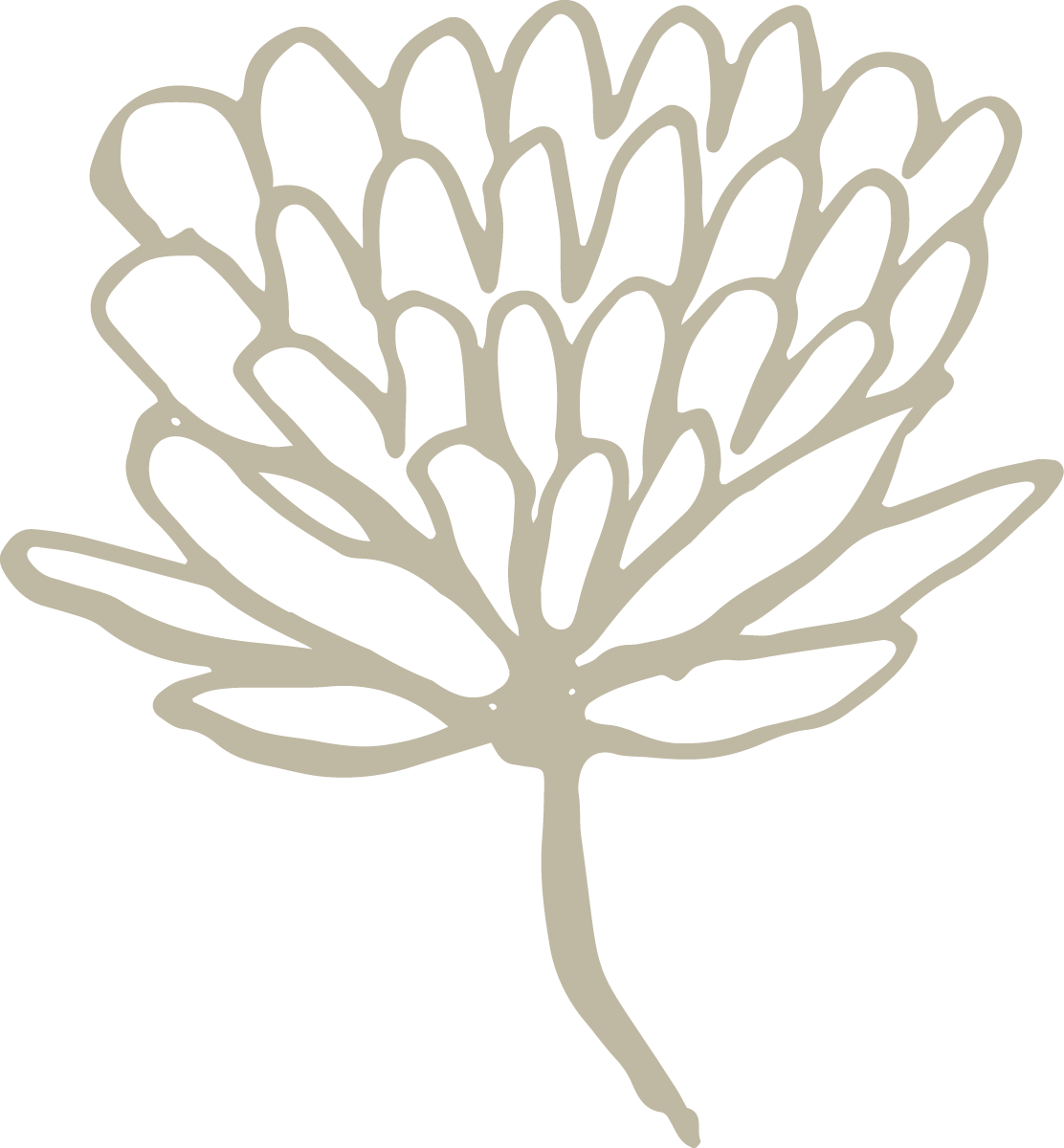 Illustrazione di una pianta marina stilizzata, forse una spugna o corallo, con rami intricati e senza colore