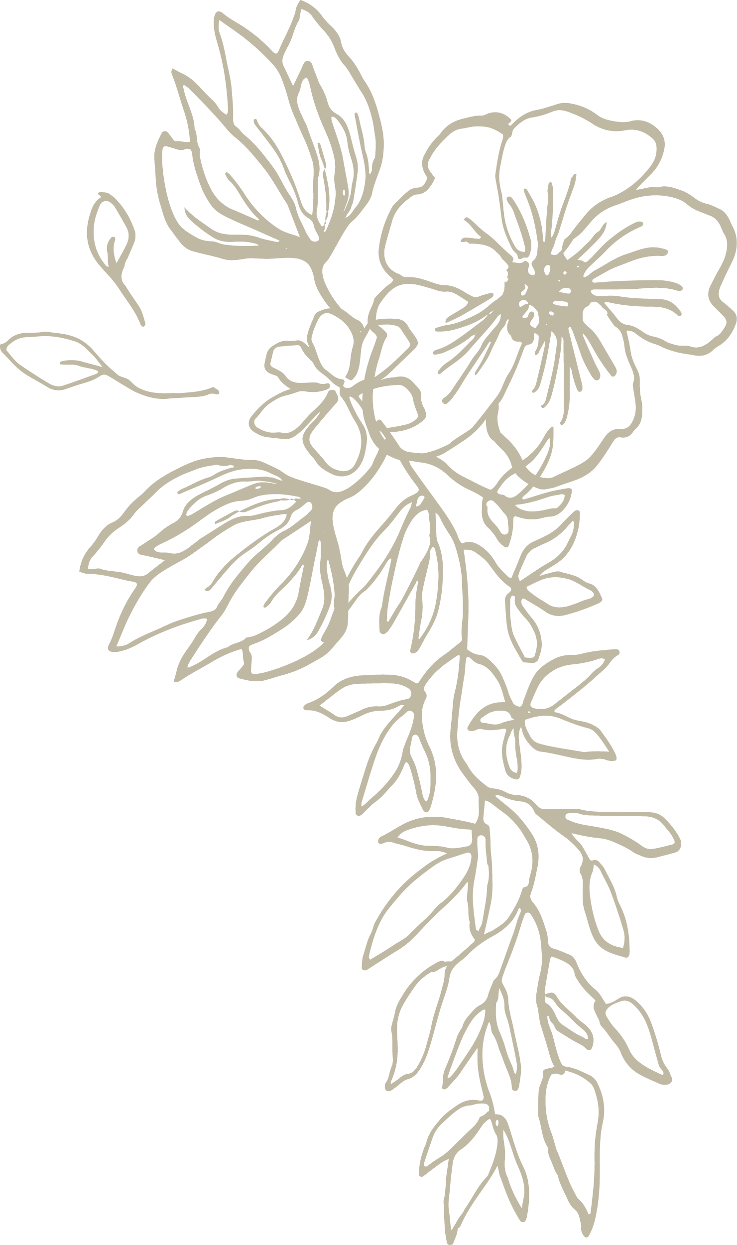 Design di fiori stilizzati e foglie in colore beige su sfondo nero.