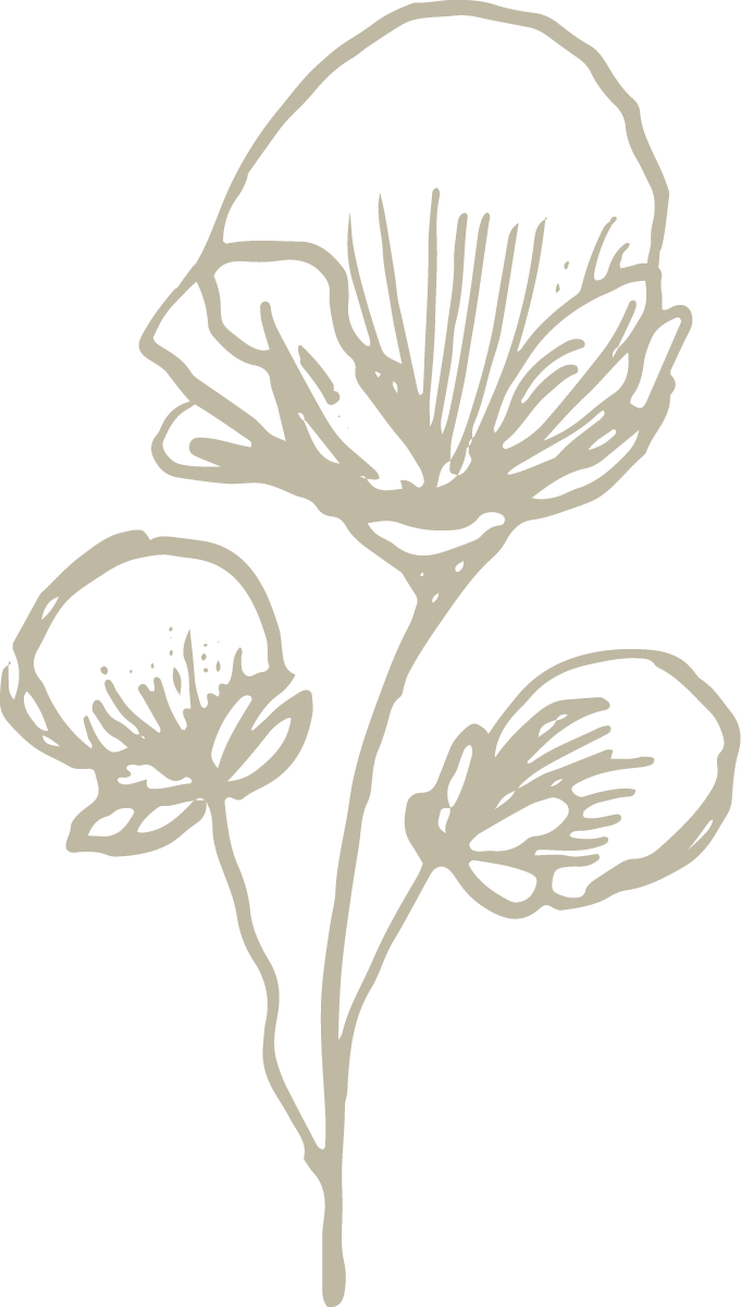 Disegno stilizzato di tre fiori con stelo e petali
