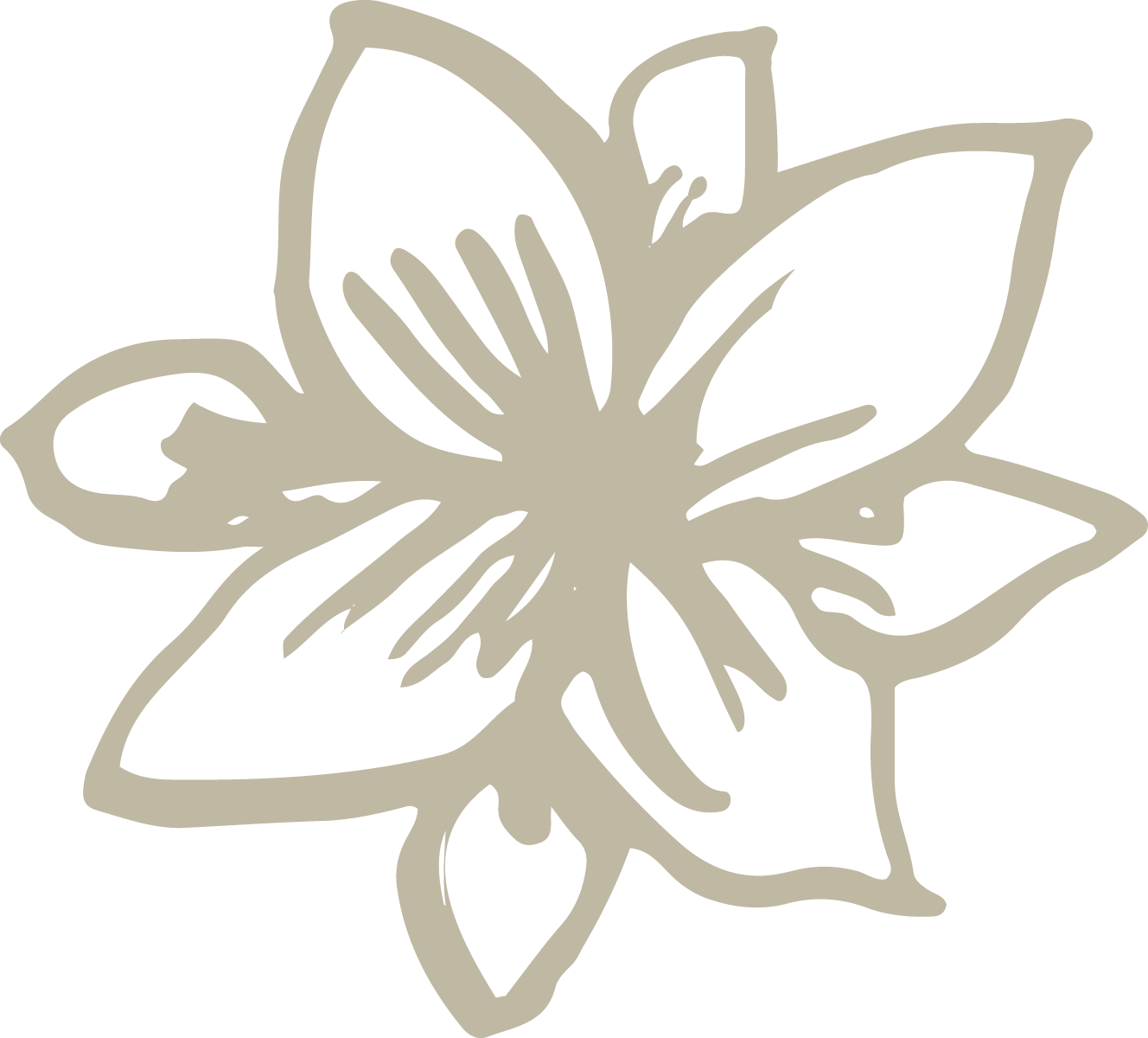 Disegno stilizzato di un fiore con petali e dettagli.