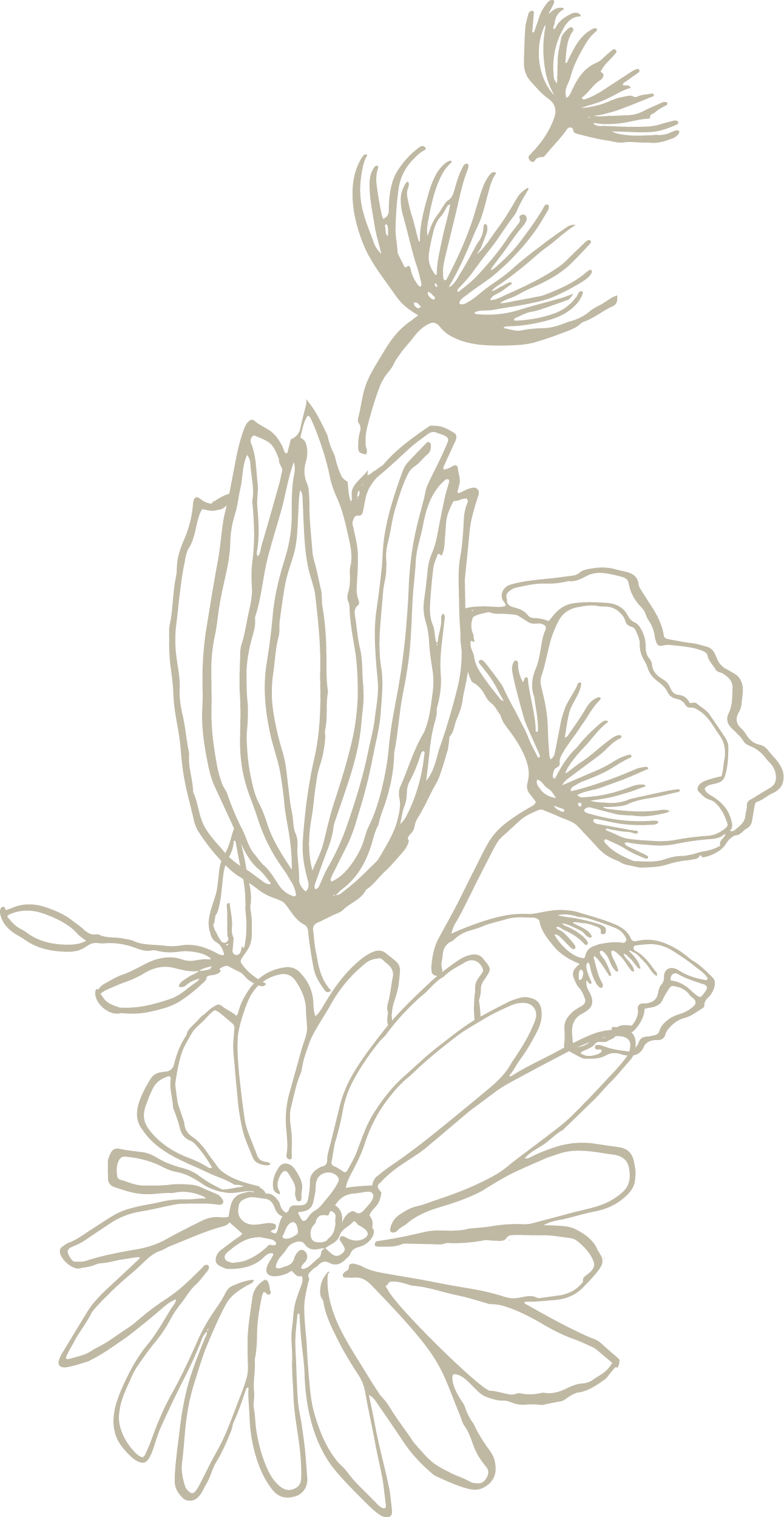 Disegno di fiori stilizzati di colore beige su sfondo nero.