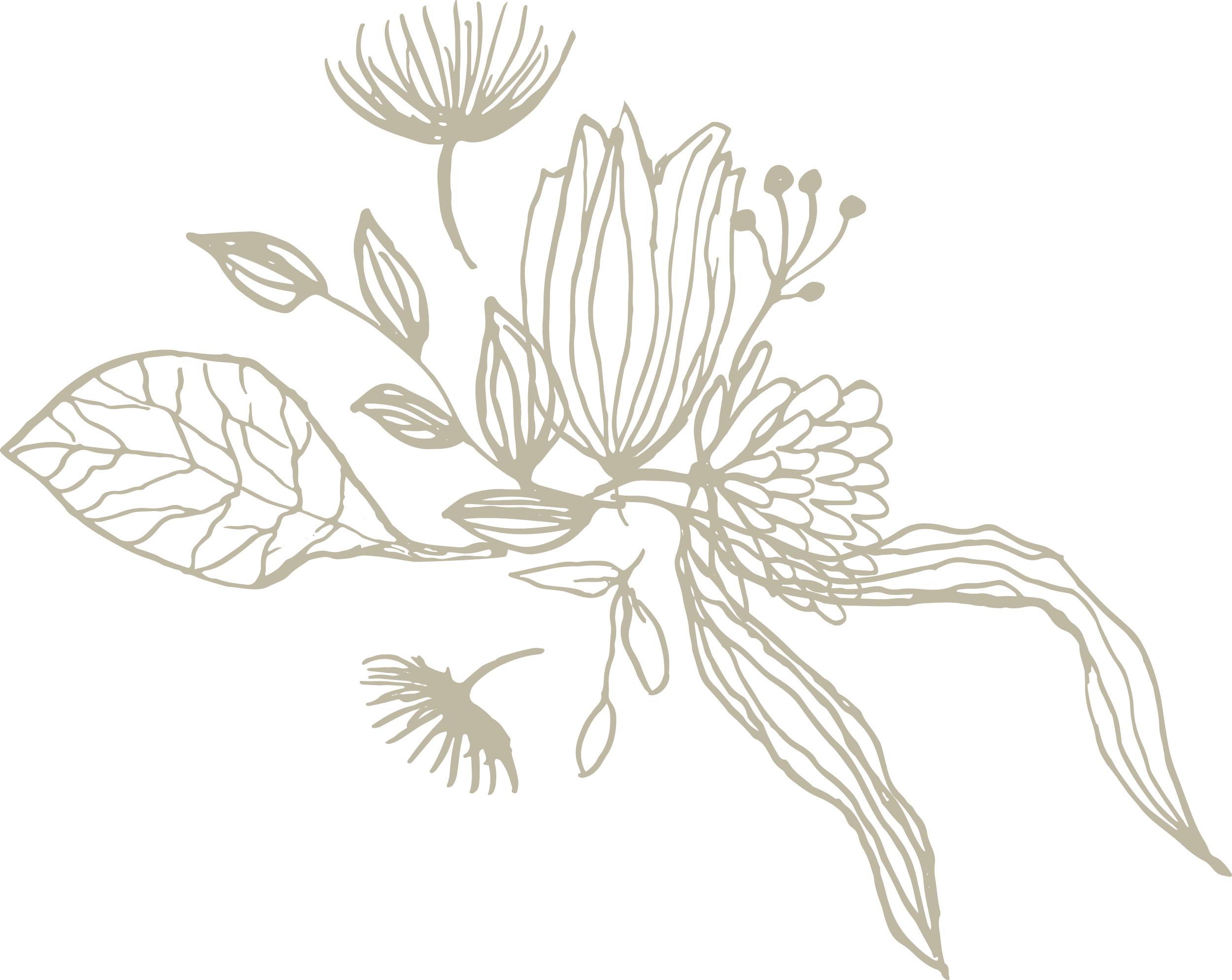 Disegno di una pianta stilizzata con foglie e fiori, in tonalità beige su sfondo nero.