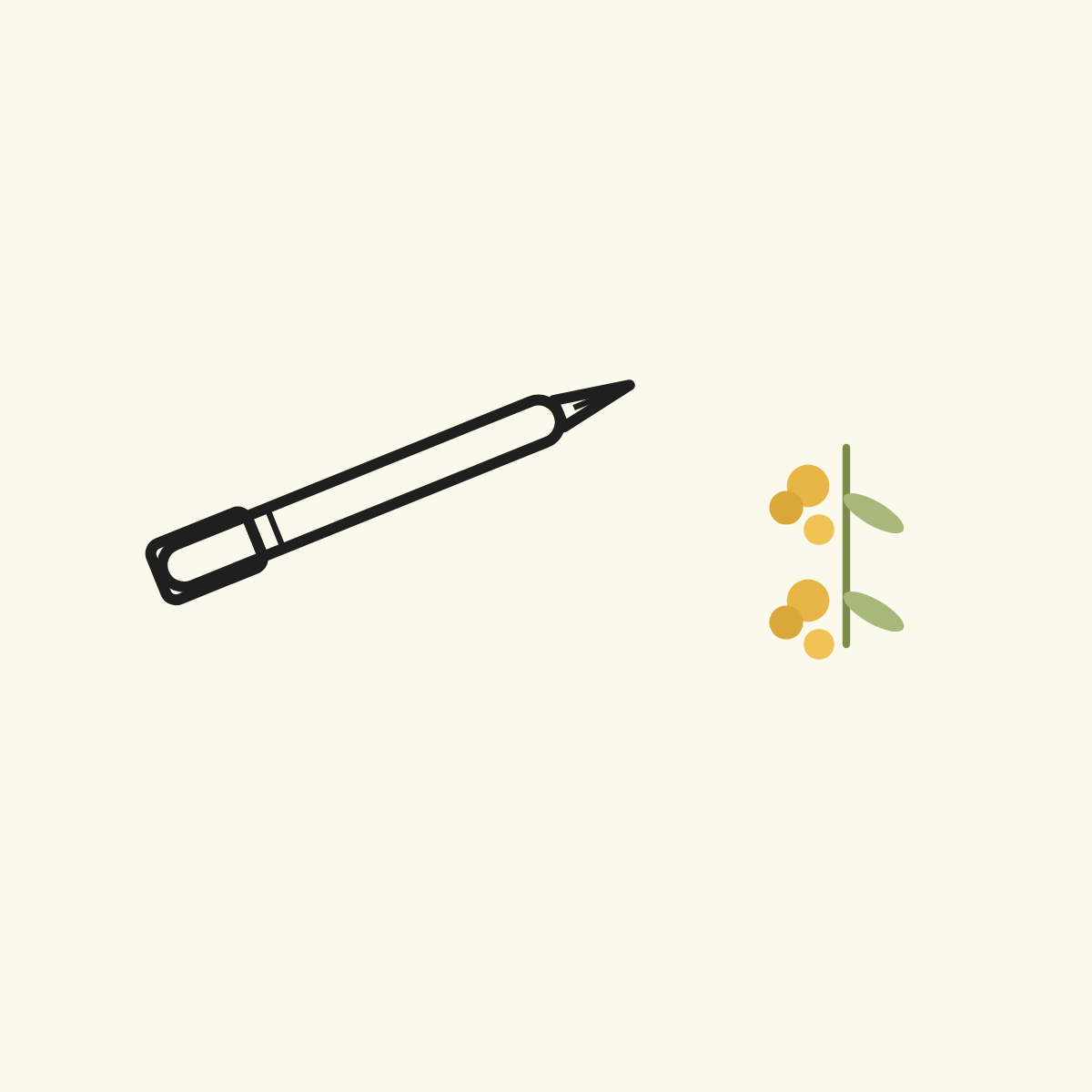 Wattle and Word Northern Rivers Copywriting and Editing