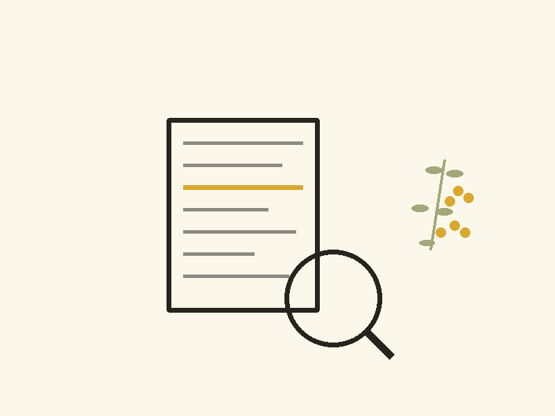 SEO Copywriting for the Northern Rivers | Wattle & Word