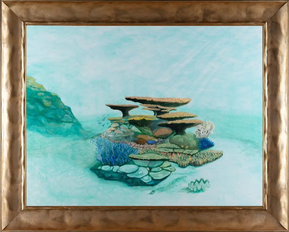 Light on the Reef