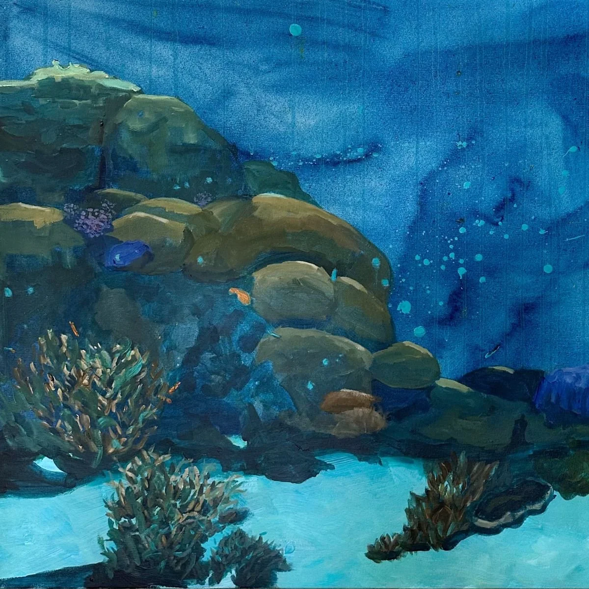 underwater landscapes