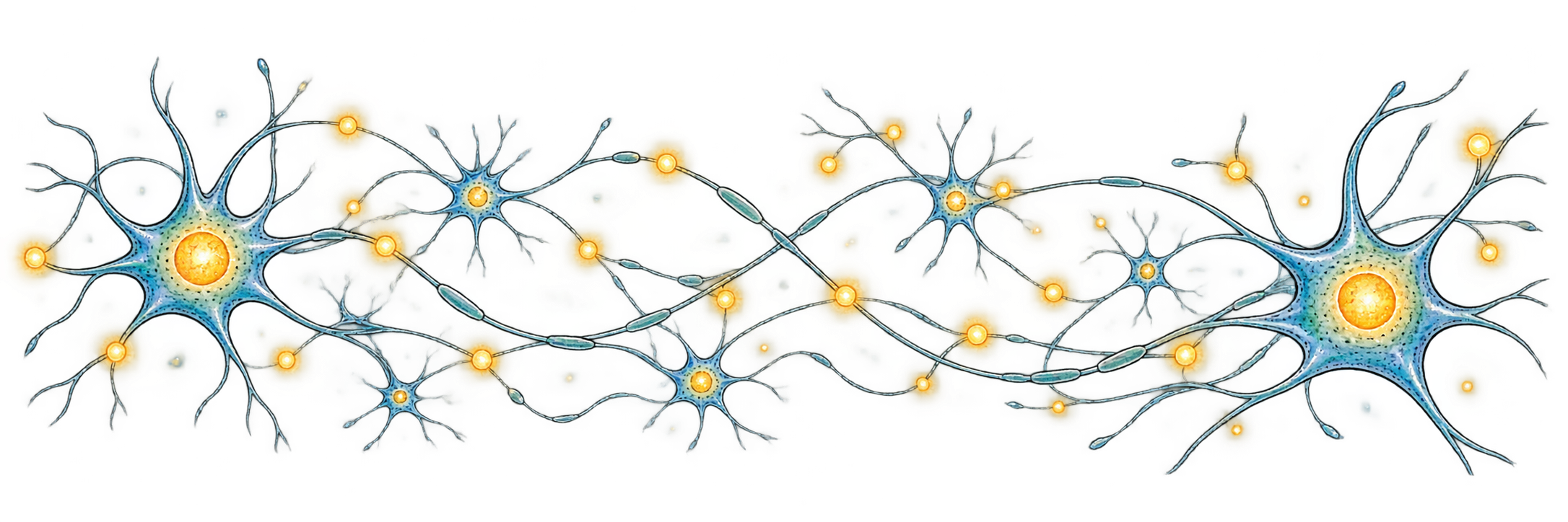 Neural network illustration showing neurotransmitter signaling between brain cells for ANCC PMHNP board exam review.