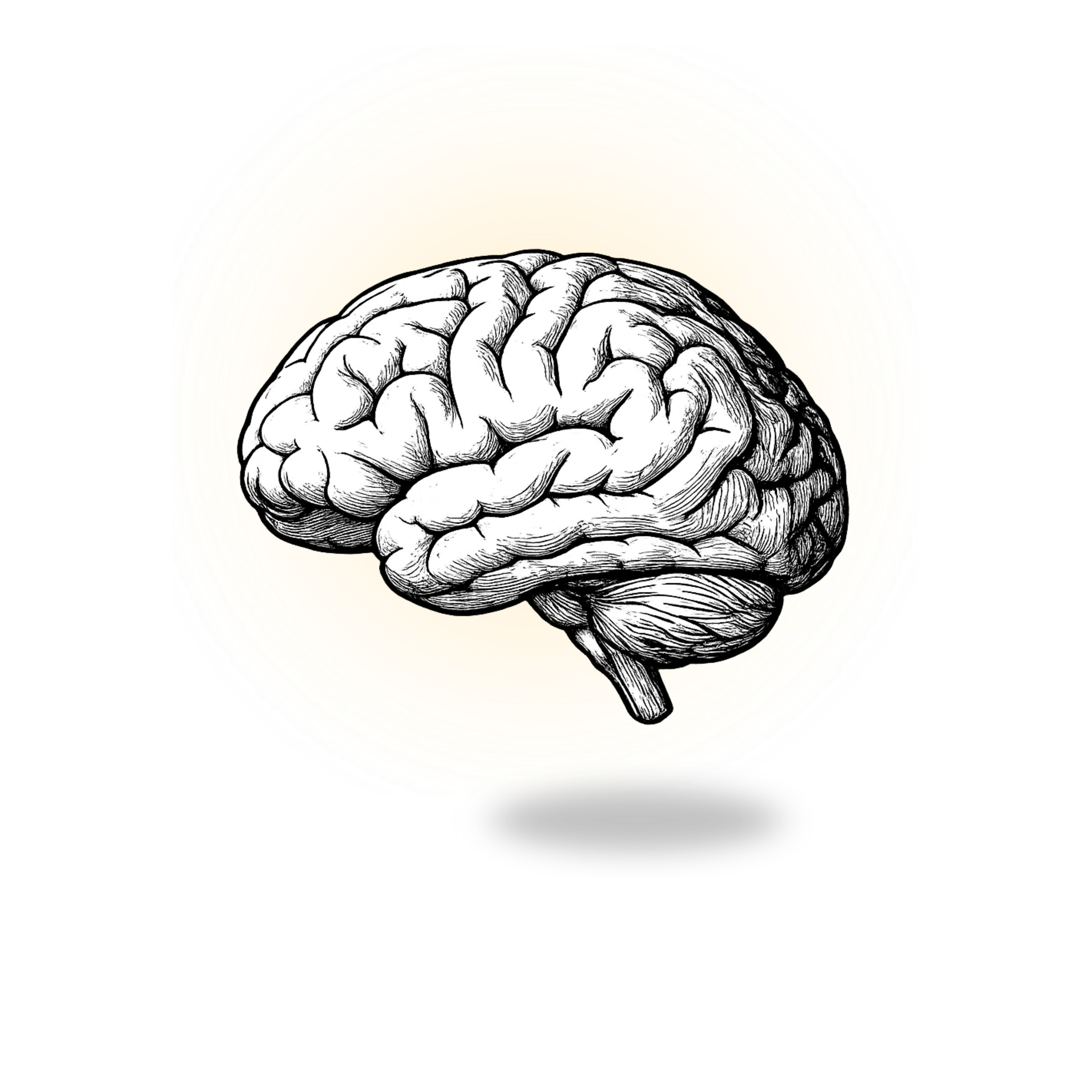 PMHNP board review study resource for psychiatric mental health nurse practitioner exam preparation.