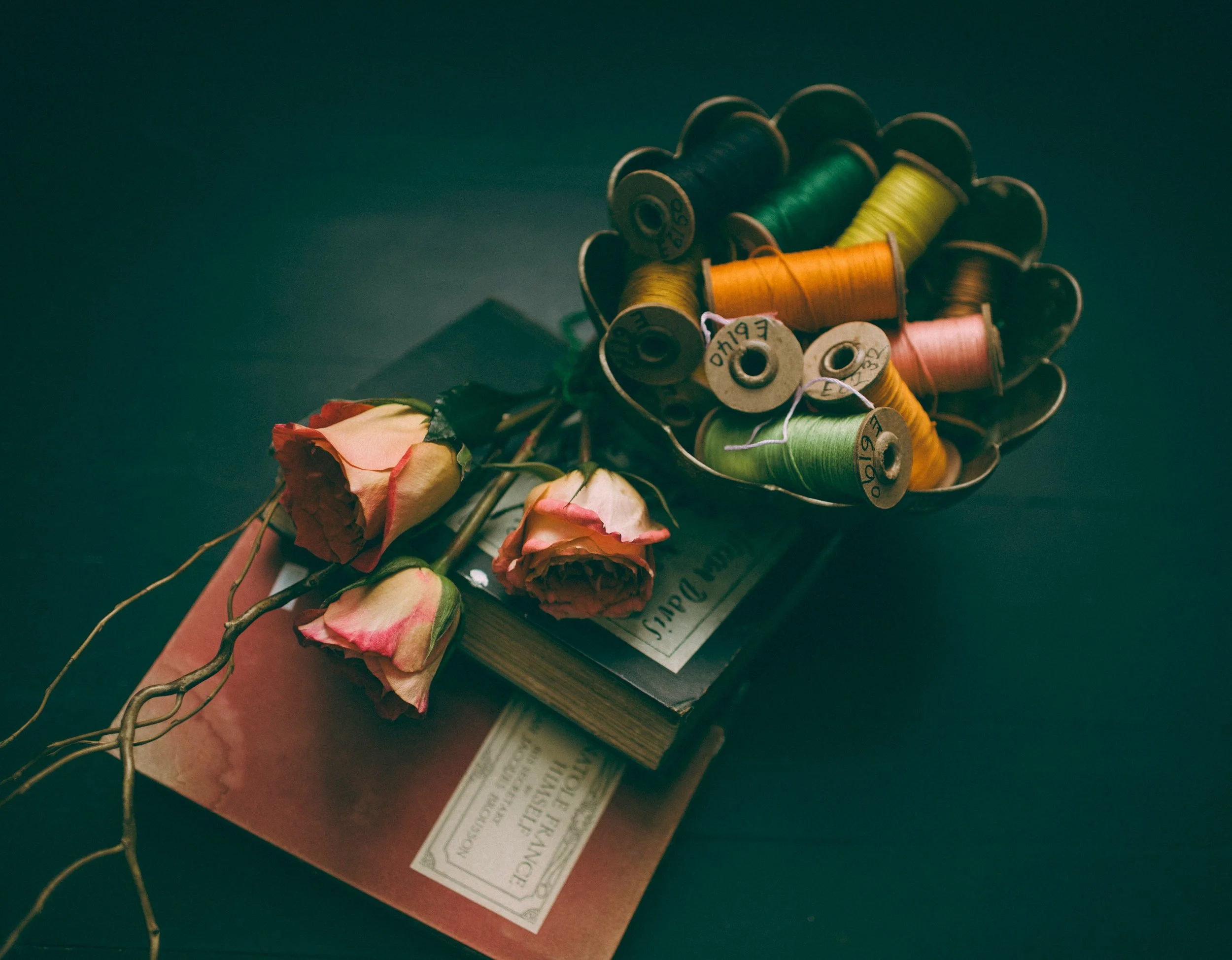 In Search of a Thread Through Life