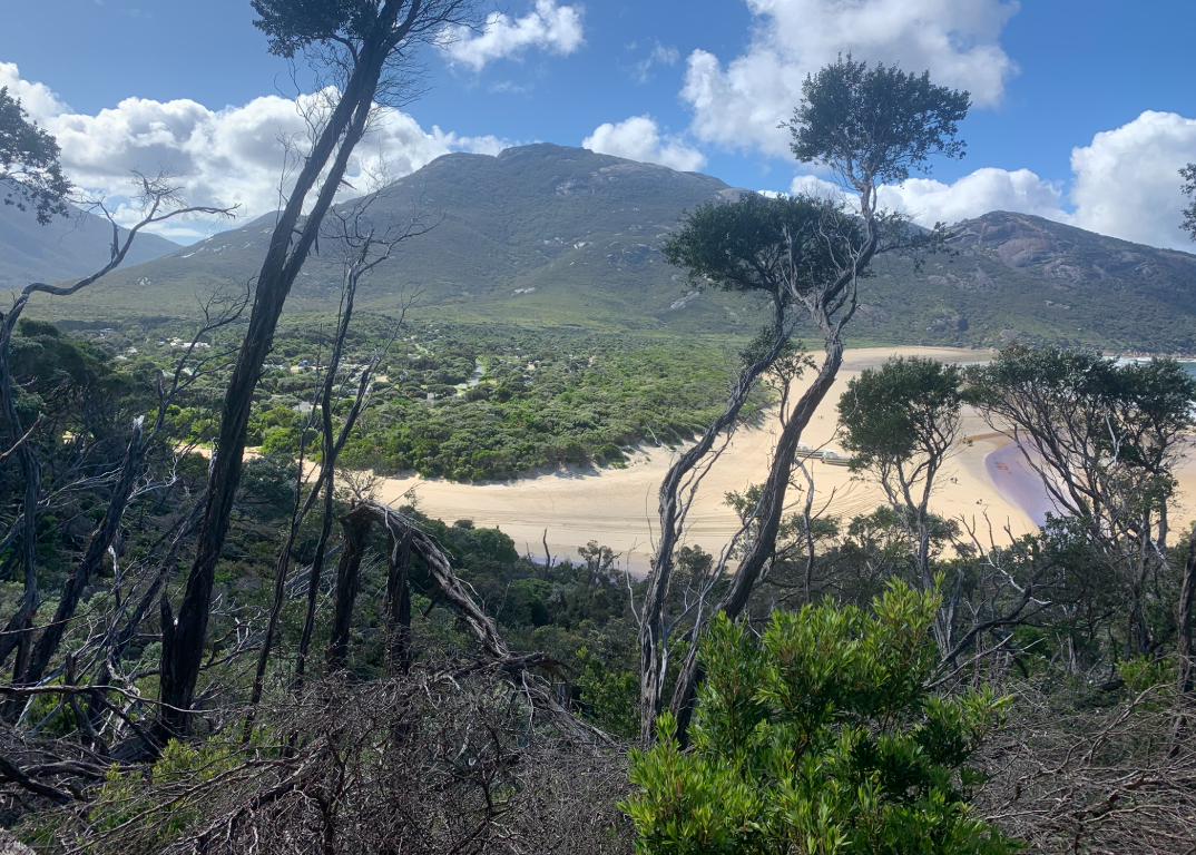 Beach and dunes near Wilsons Prom, close to Prom Gate Getaway