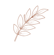 Illustration of a white leaf branch with multiple leaves, on a black background.