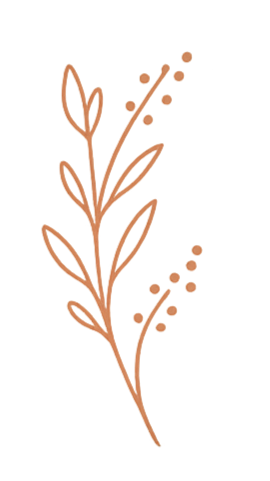 A simple line drawing of a sprig of leaves and berries in brown color.