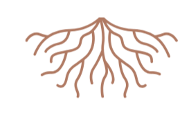 A graphic illustration of tree roots spreading downward.