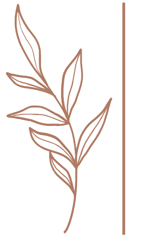 A minimalist, line art illustration of a branch with leaves, drawn in a brownish hue on a black background.