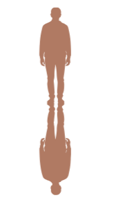 Silhouette of a person standing upright, reflected in a mirror.