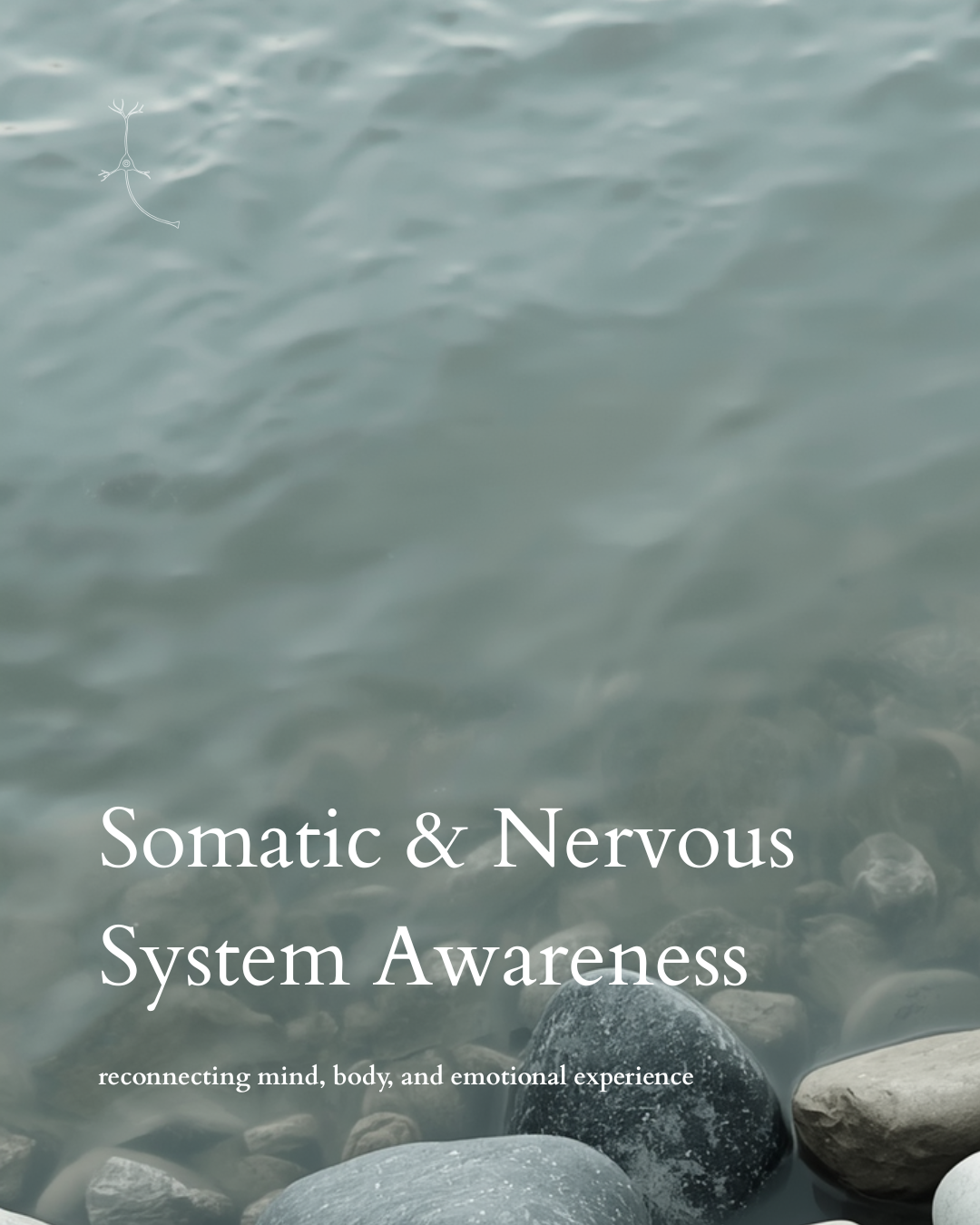 building awareness of the connection between emotions, the nervous system, and the ways stress and experiences can show up within the body