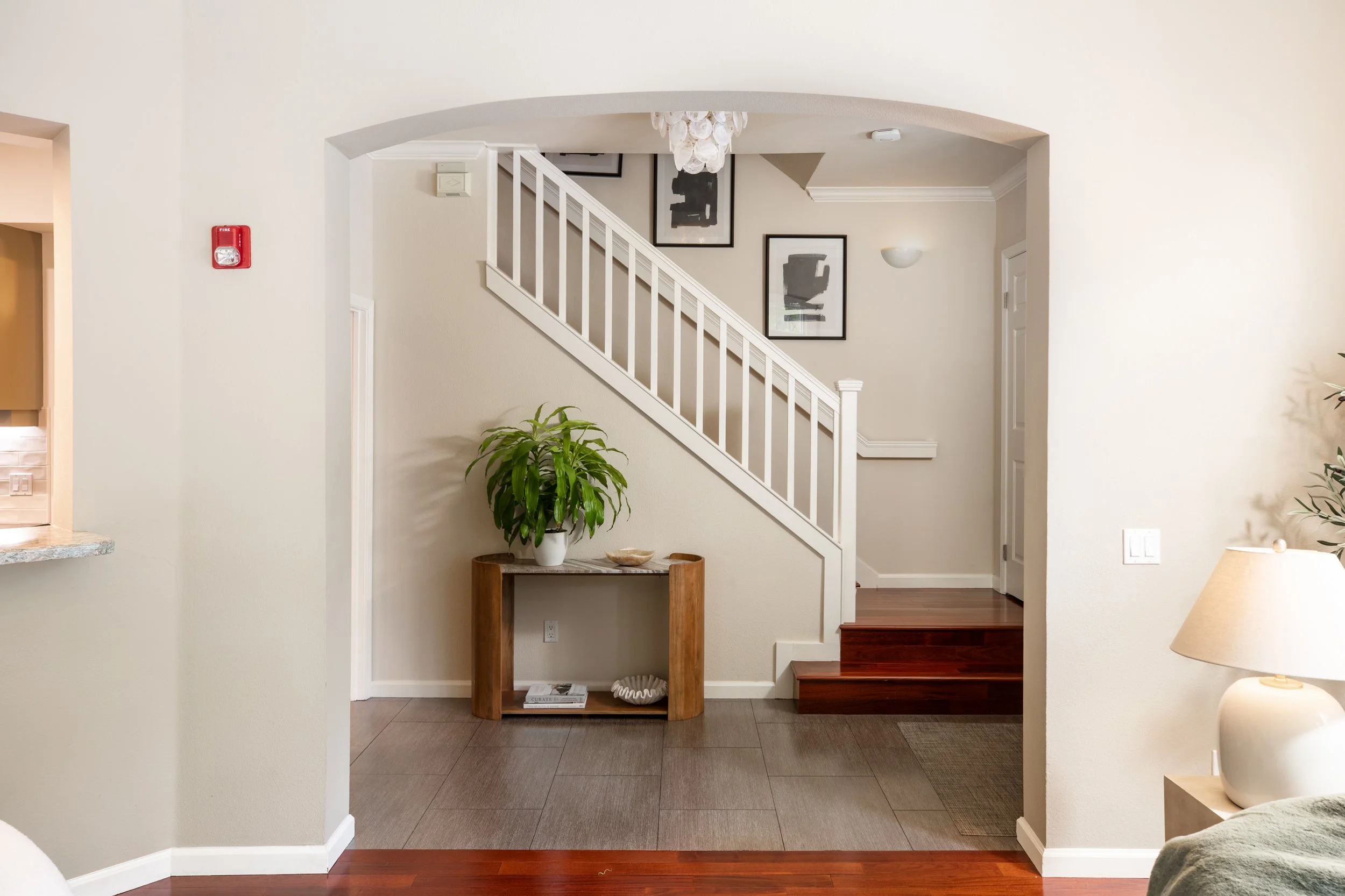 5-Dana_Matt_Anello-9332-MLS.jpg