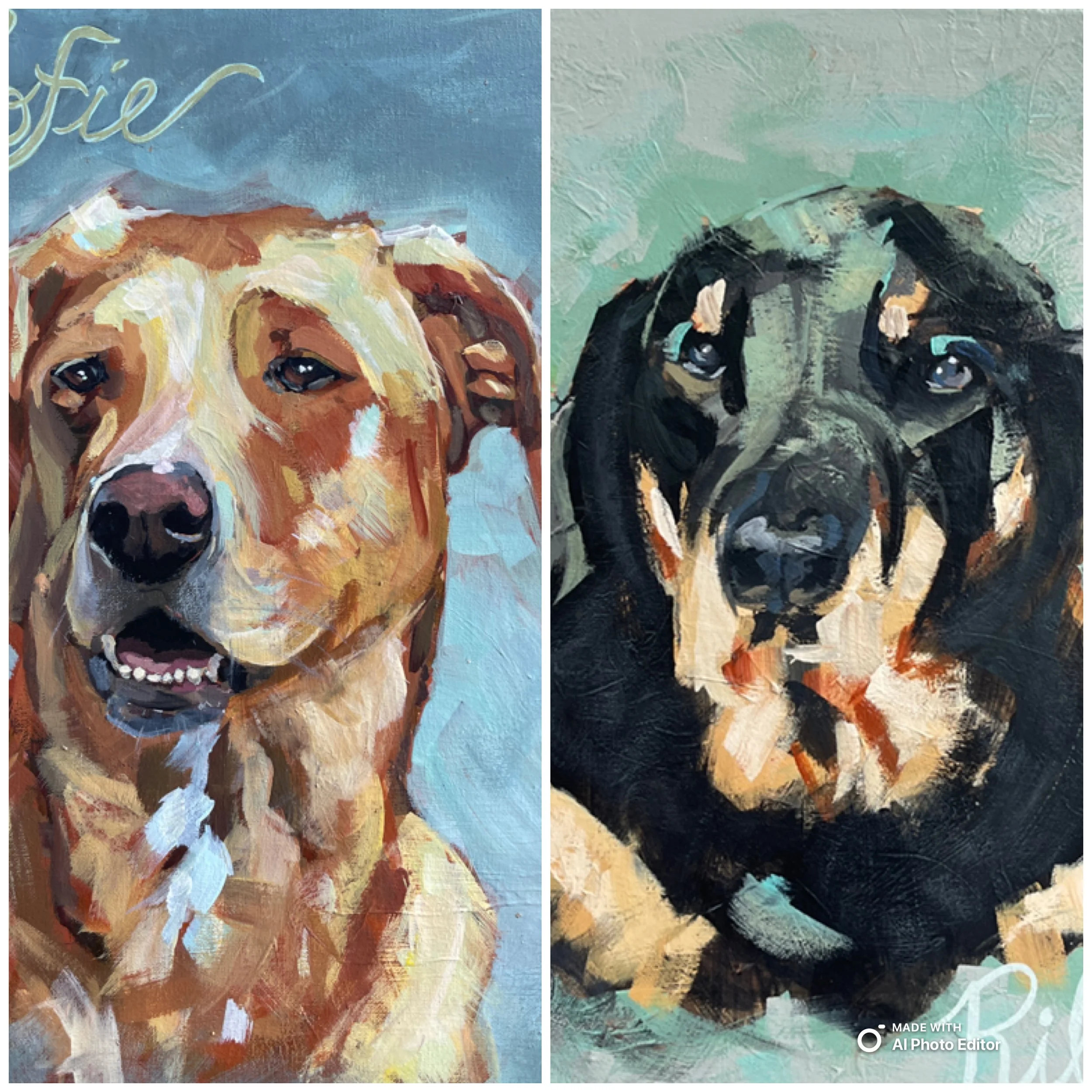 Dog Portraits