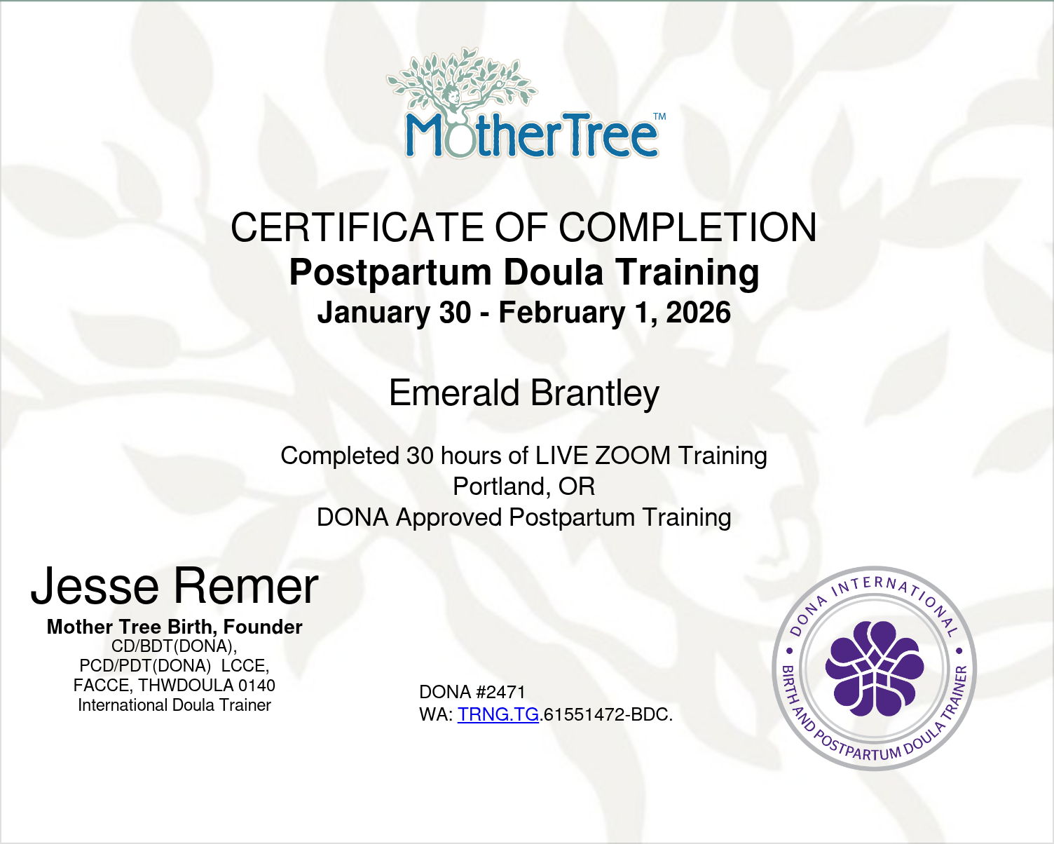 Postpartum Doula Training