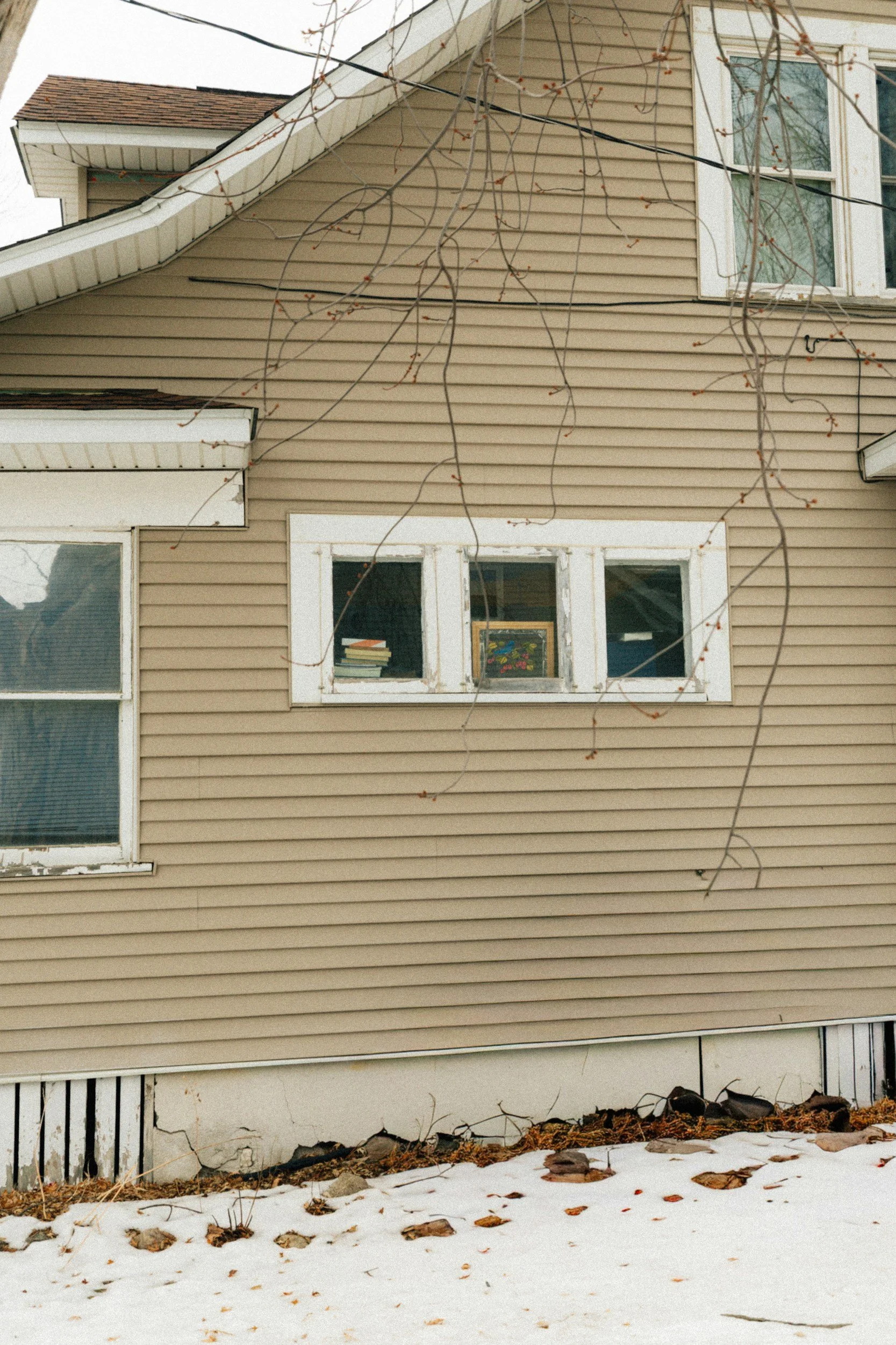 The image shows the exterior of a beige house with horizontal siding, multiple windows, and a snow-covered yard with scattered leaves. Bare tree branches hang over the house, and there are some rocks and debris on the snow in the foreground.