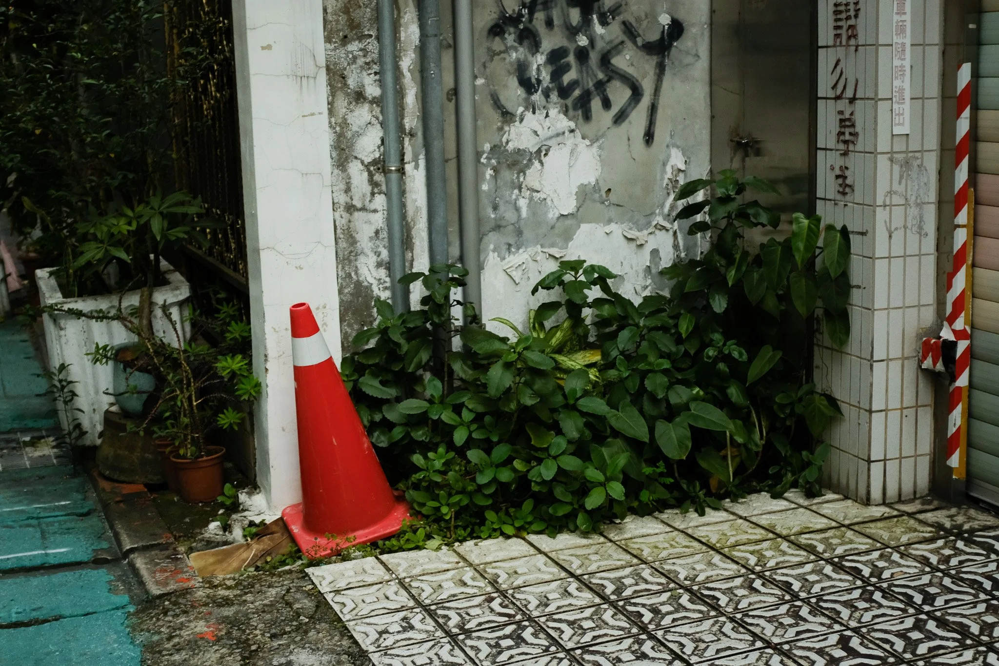 DSCF4617.jpg
