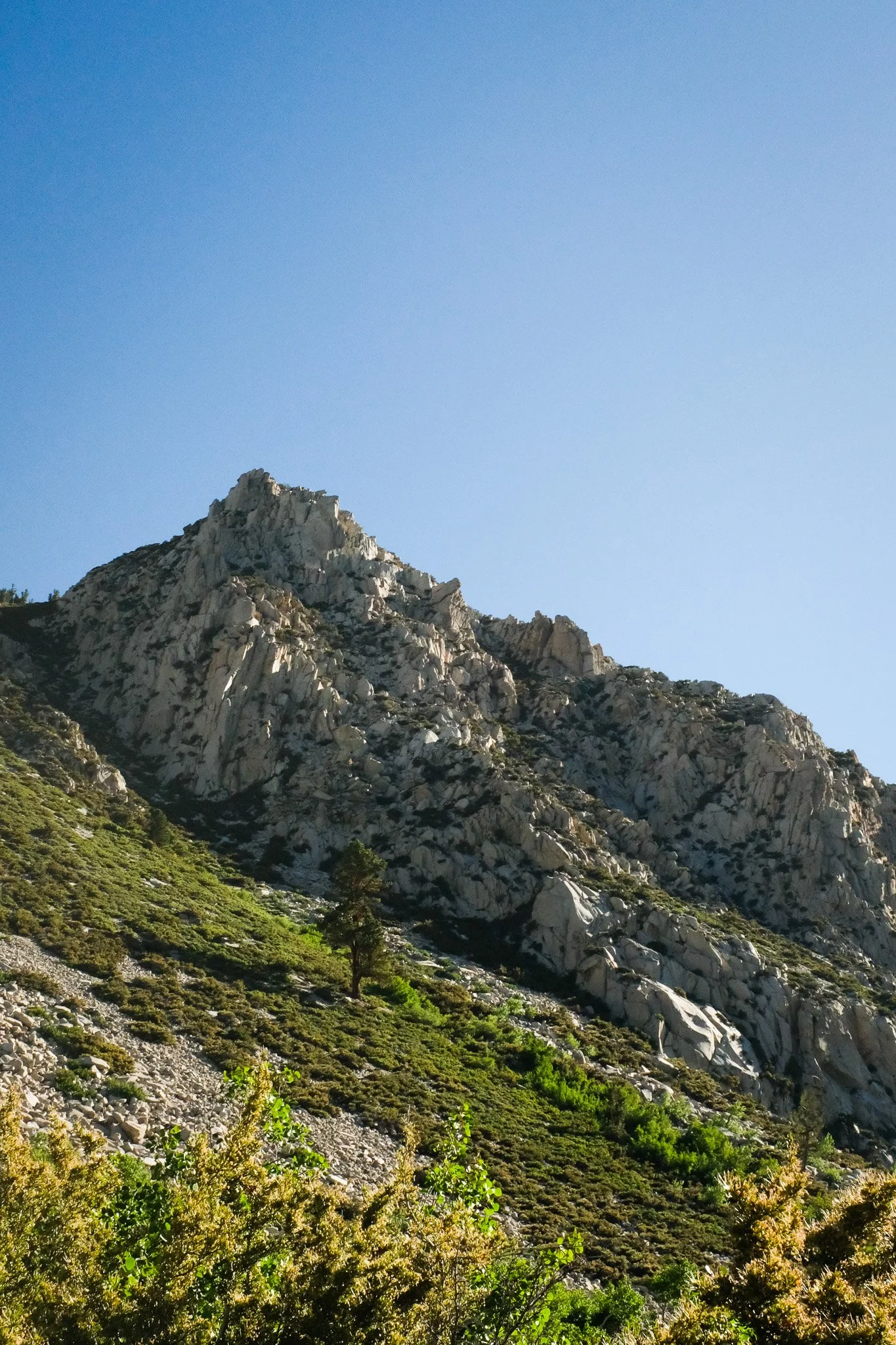 DSCF9829.jpg